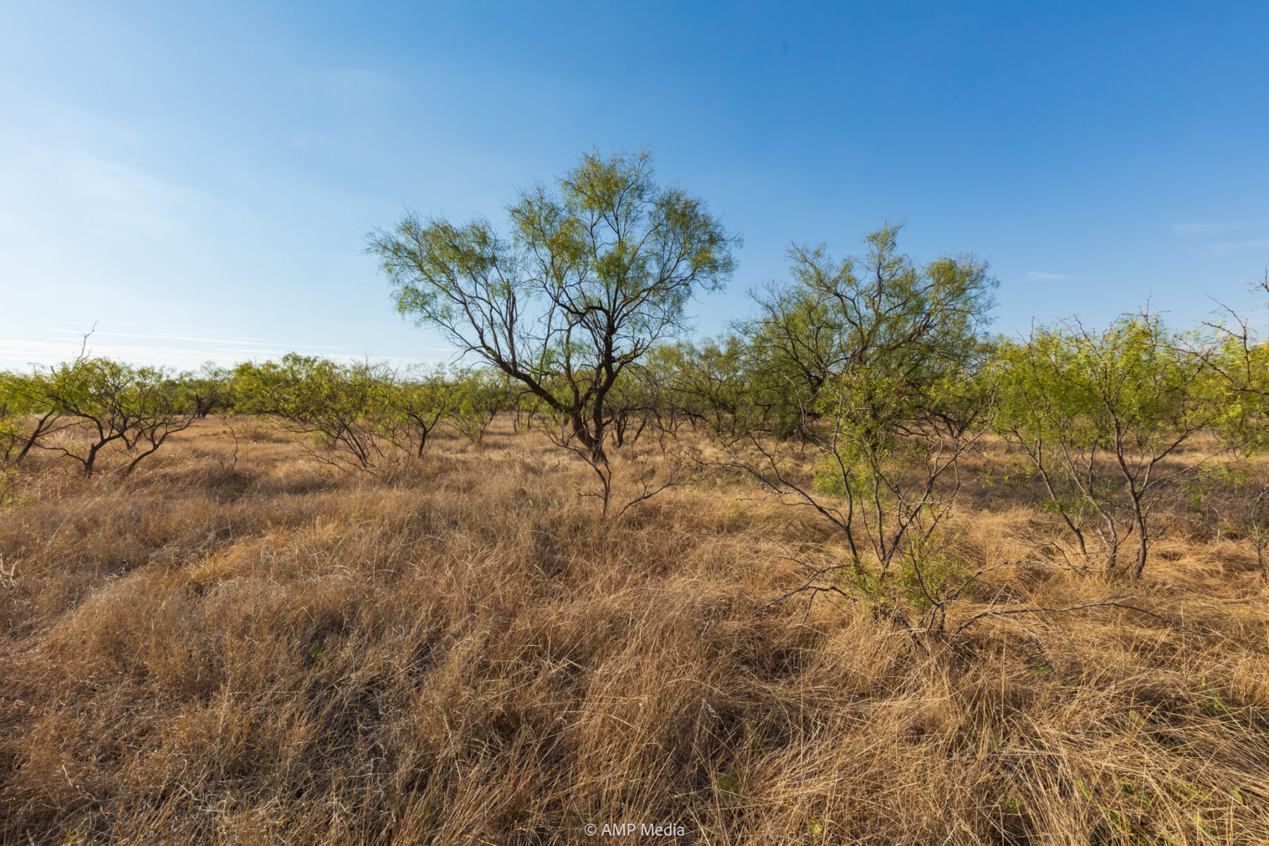 Property Photo 27 Property photograph 27