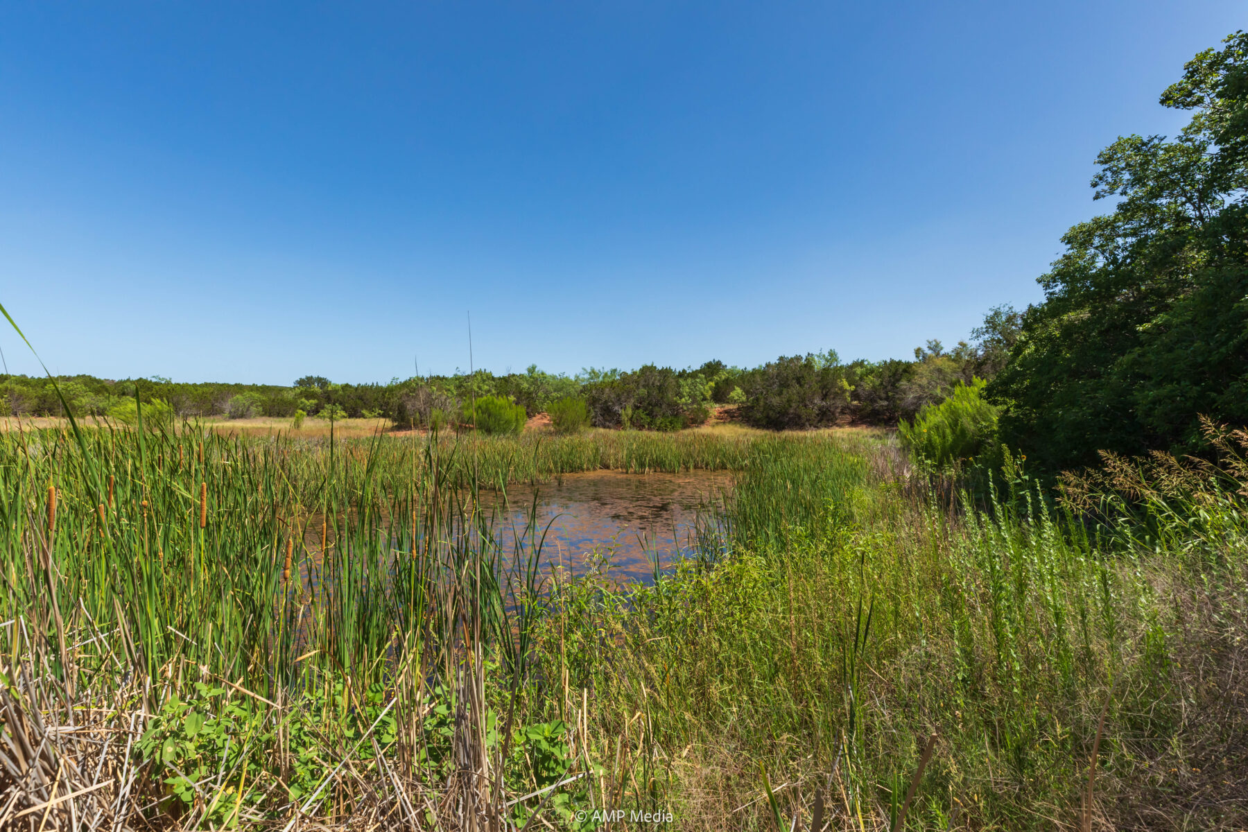 Property Photo 28 Property photograph 28