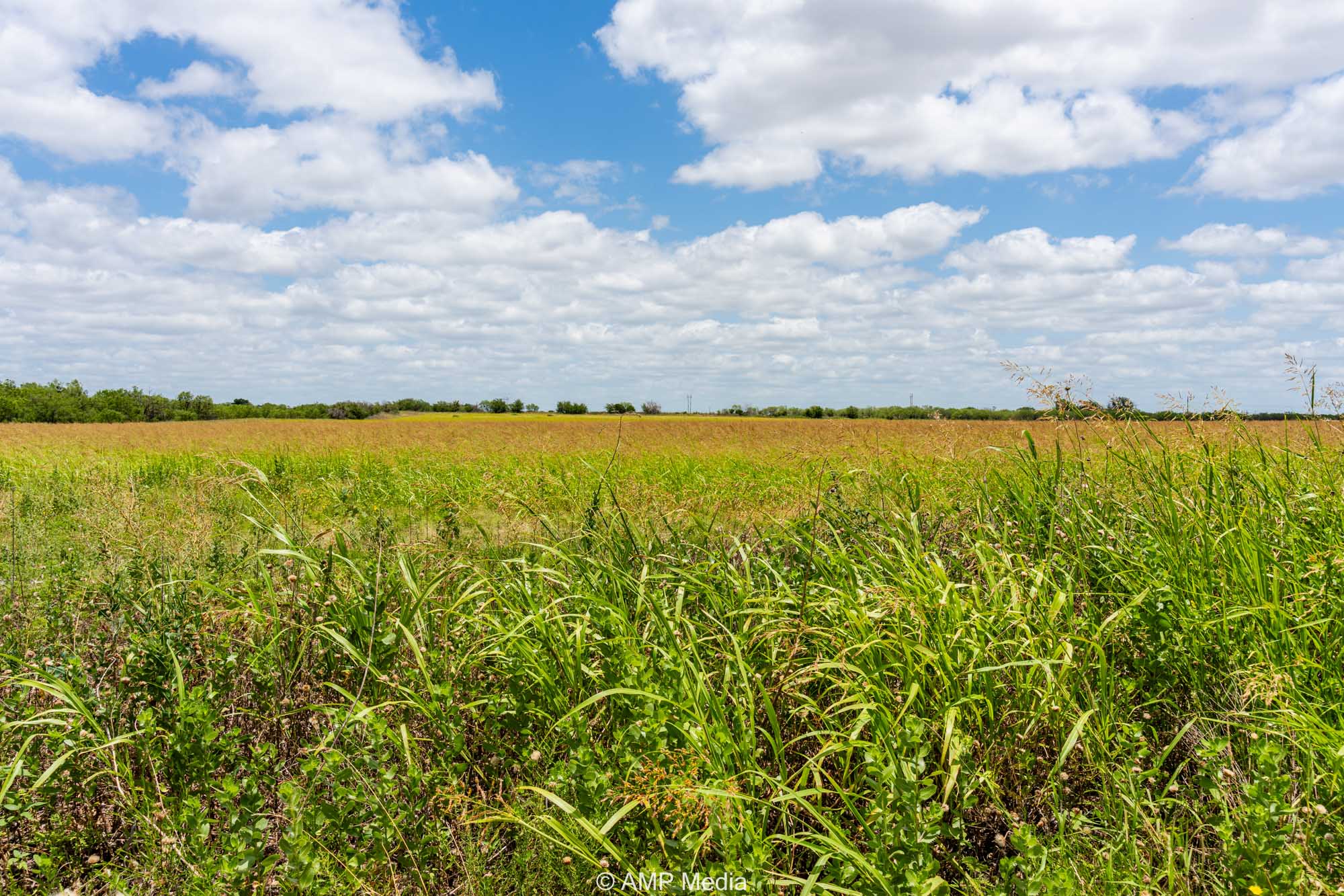 Property Photo 28 Property photograph 28