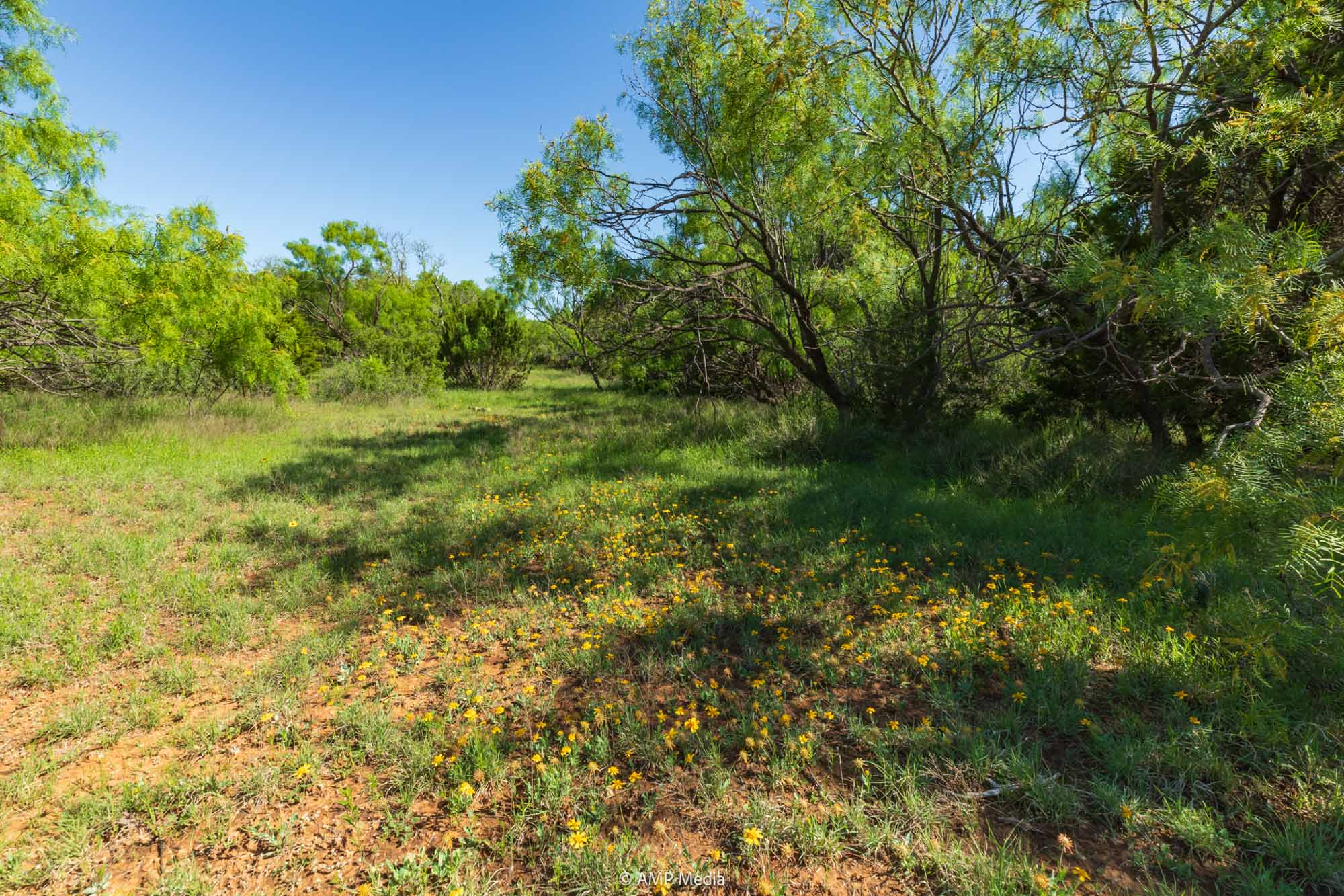 Property Photo 28 Property photograph 28