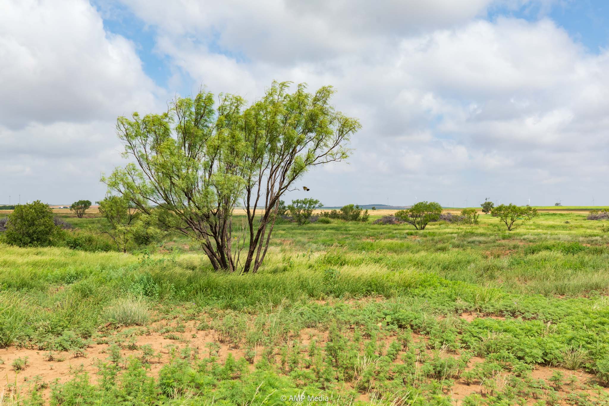 Property Photo 28 Property photograph 28