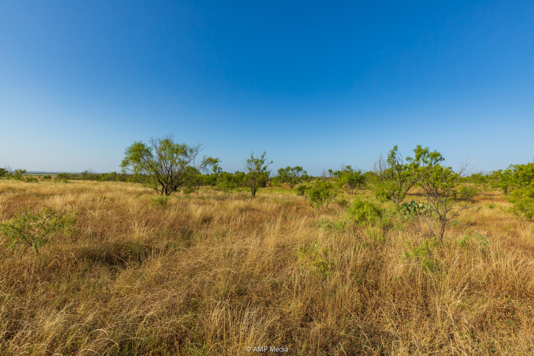 Property Photo 28 Property photograph 28