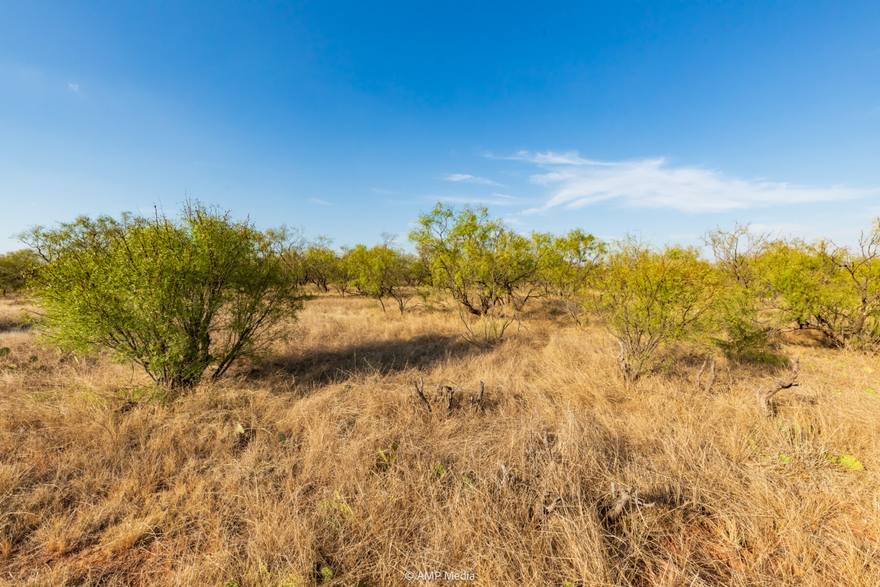 Property Photo 28 Property photograph 28