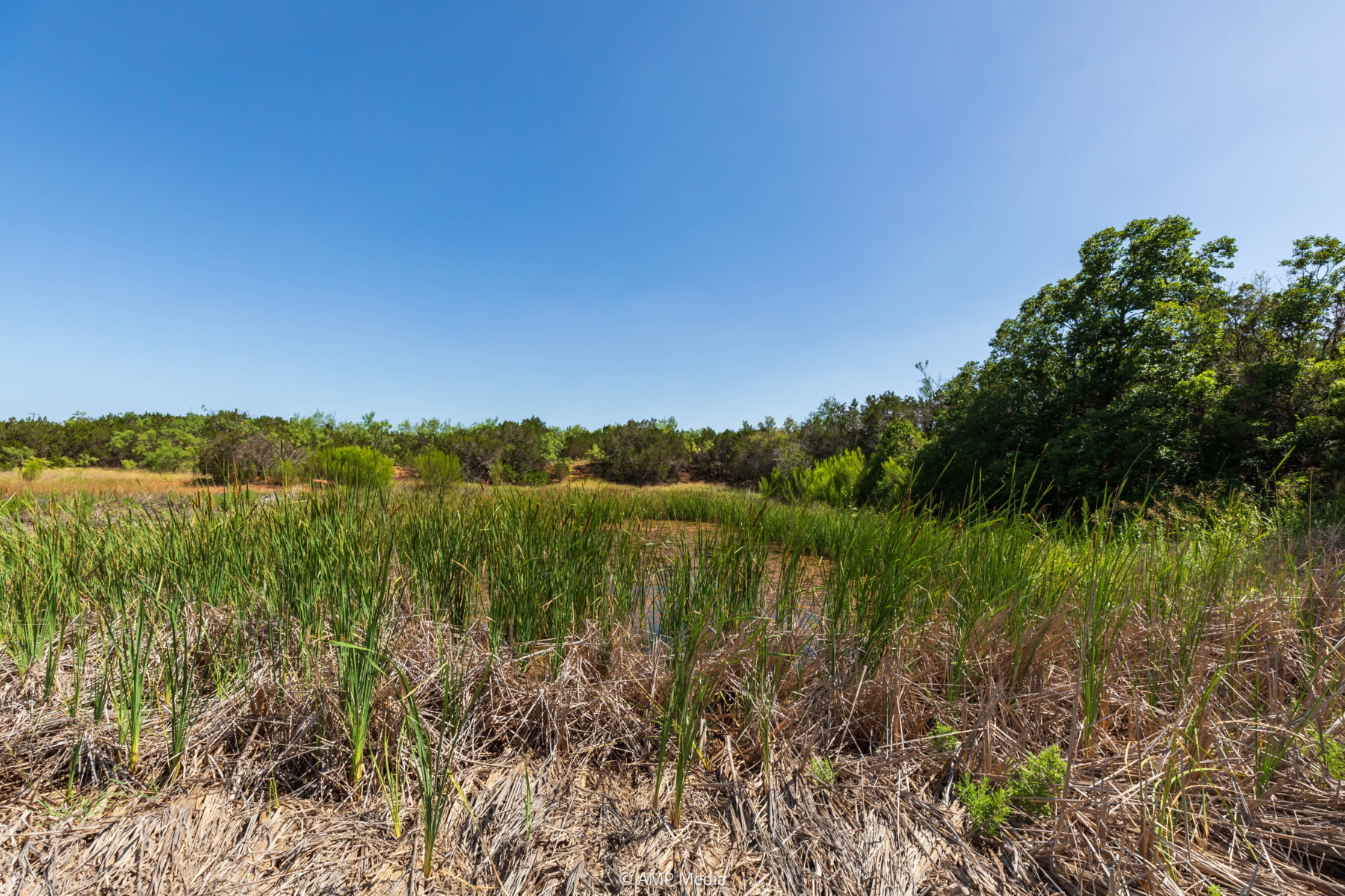 Property Photo 29 Property photograph 29