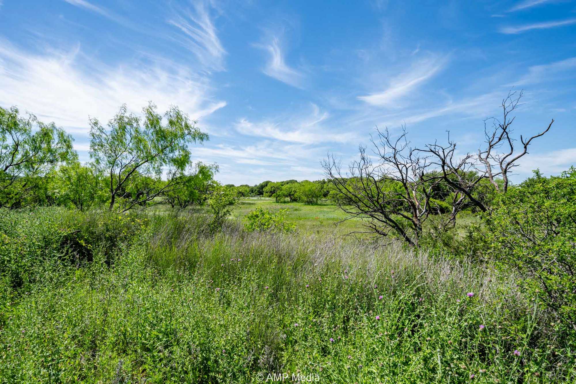 Property Photo 29 Property photograph 29