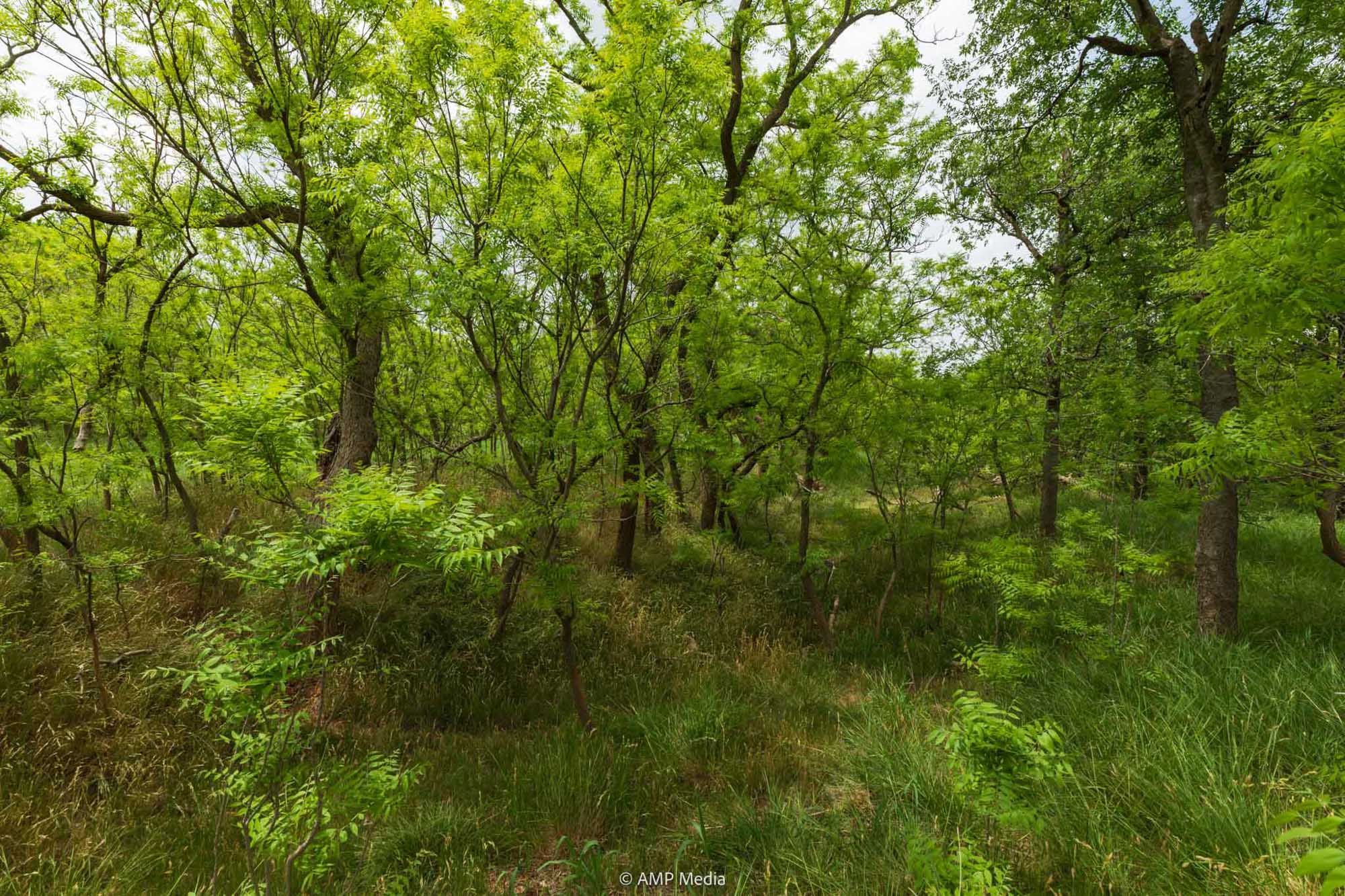 Property Photo 29 Property photograph 29