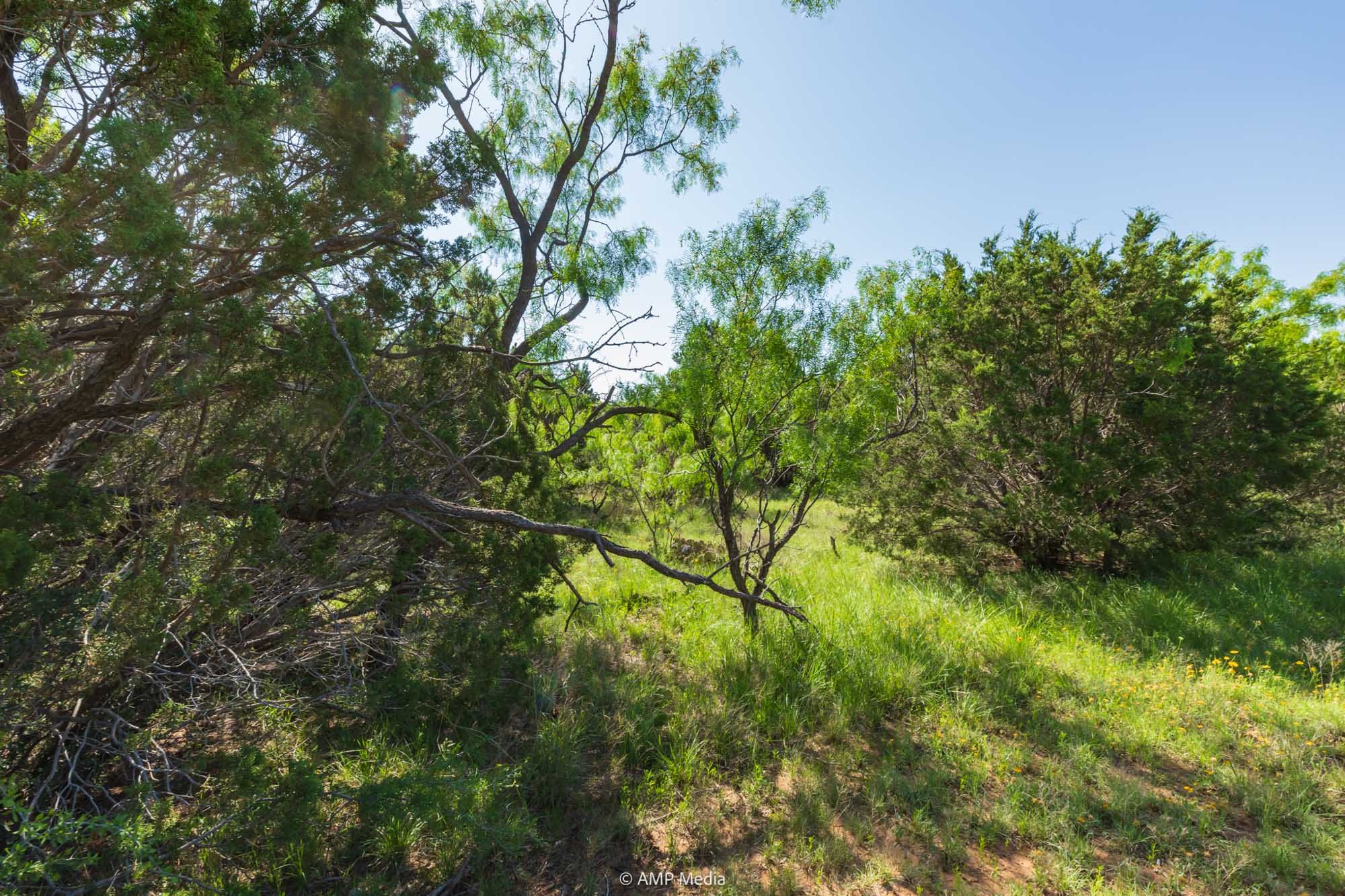 Property Photo 29 Property photograph 29