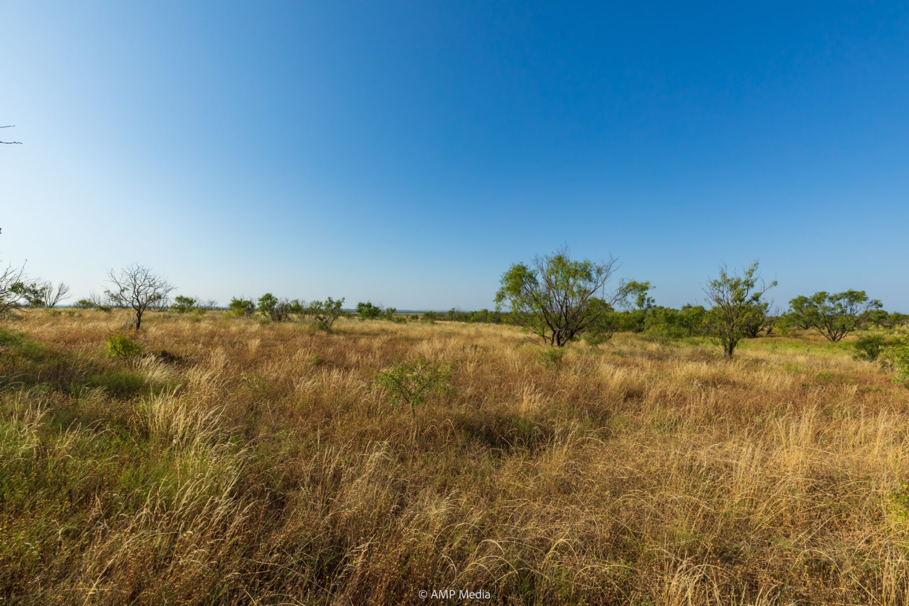 Property Photo 29 Property photograph 29