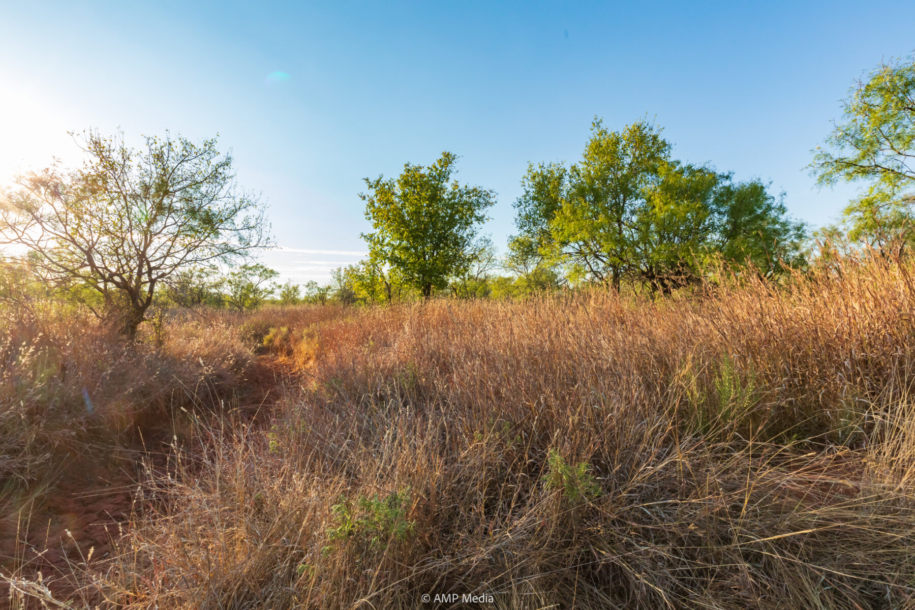 Property Photo 29 Property photograph 29