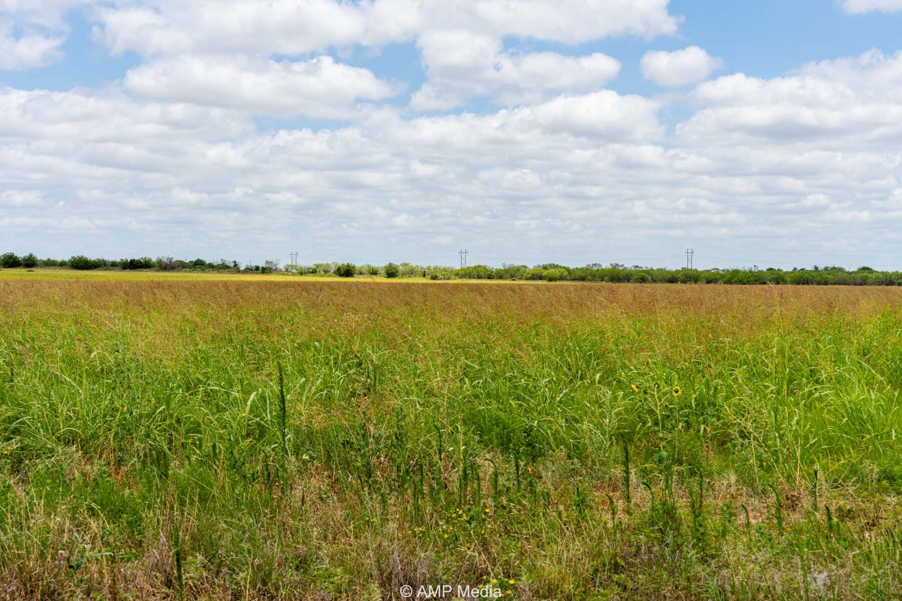 Property Photo 03 Property photograph 03