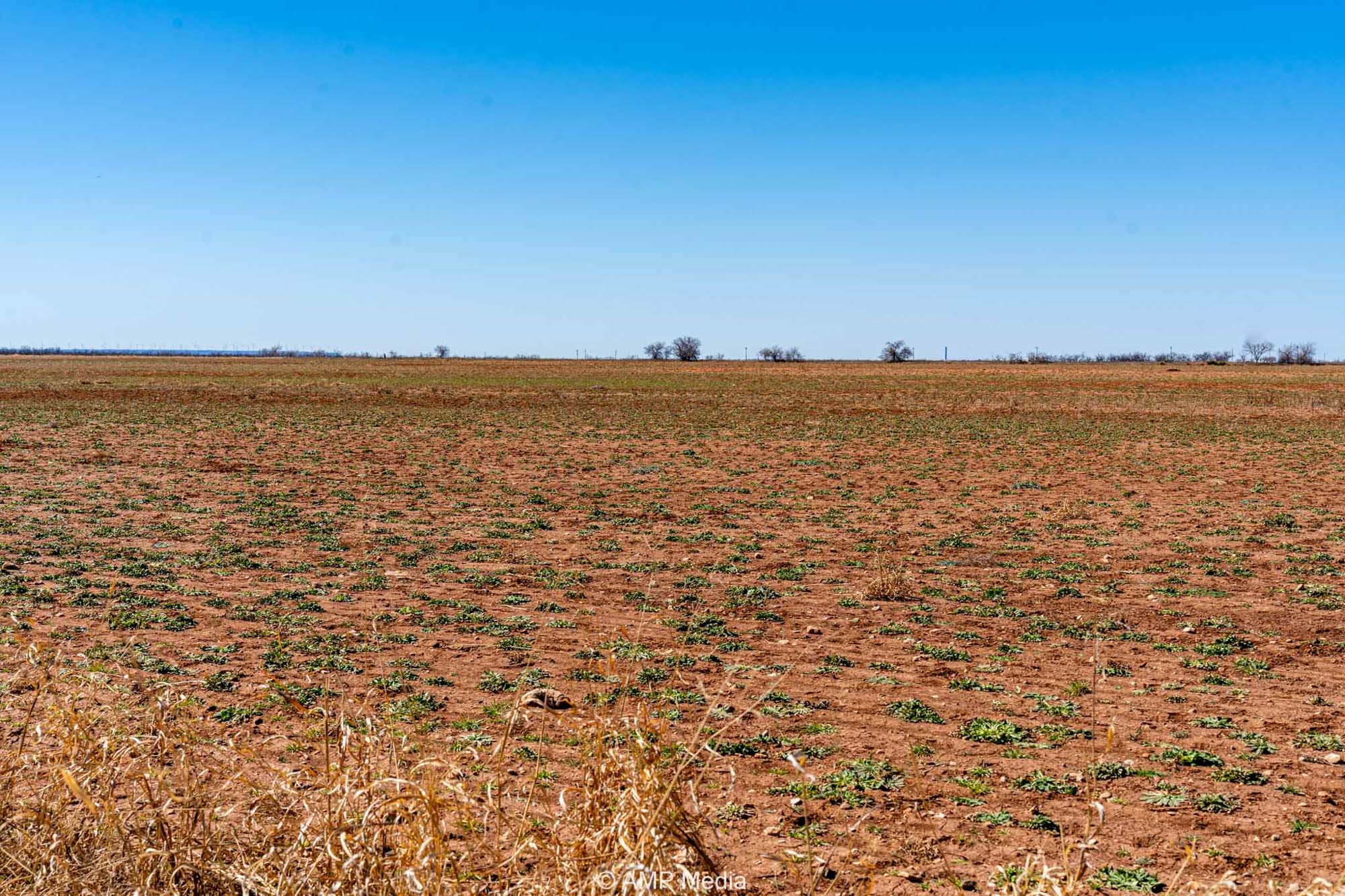Property Photo 03 Property photograph 03