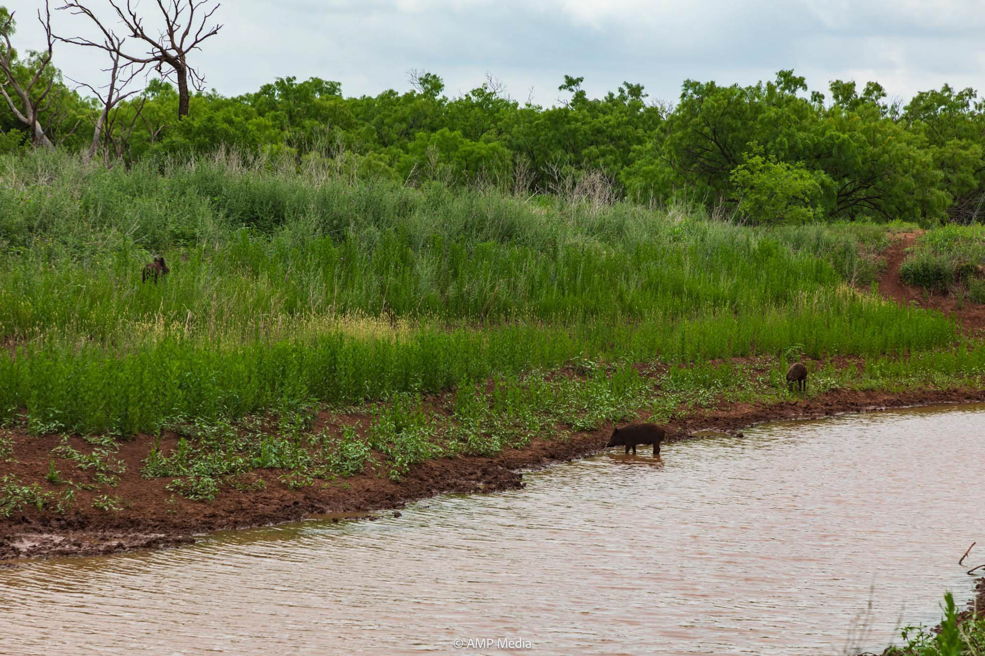 Property Photo 03 Property photograph 03