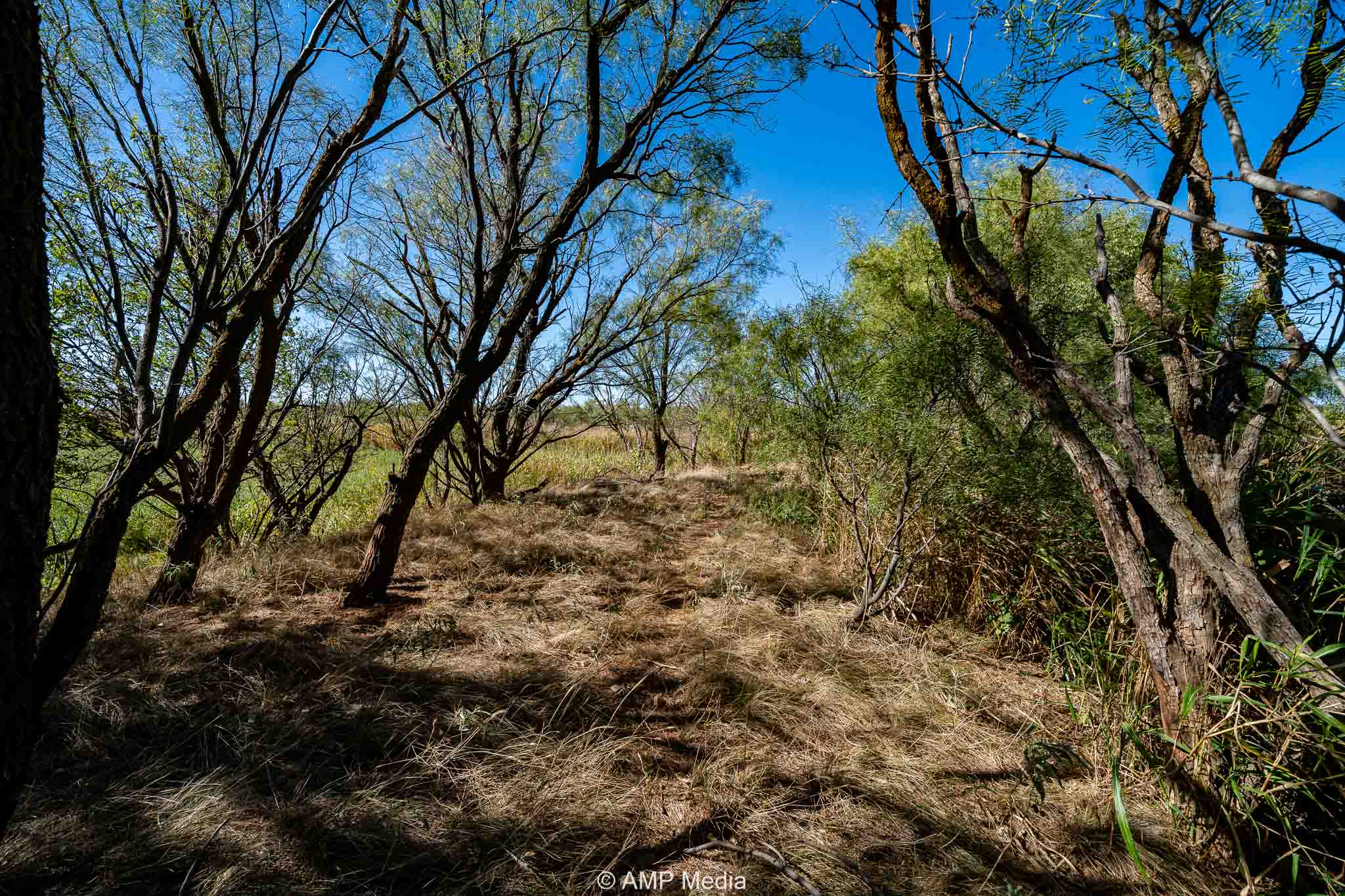 Property Photo 03 Property photograph 03