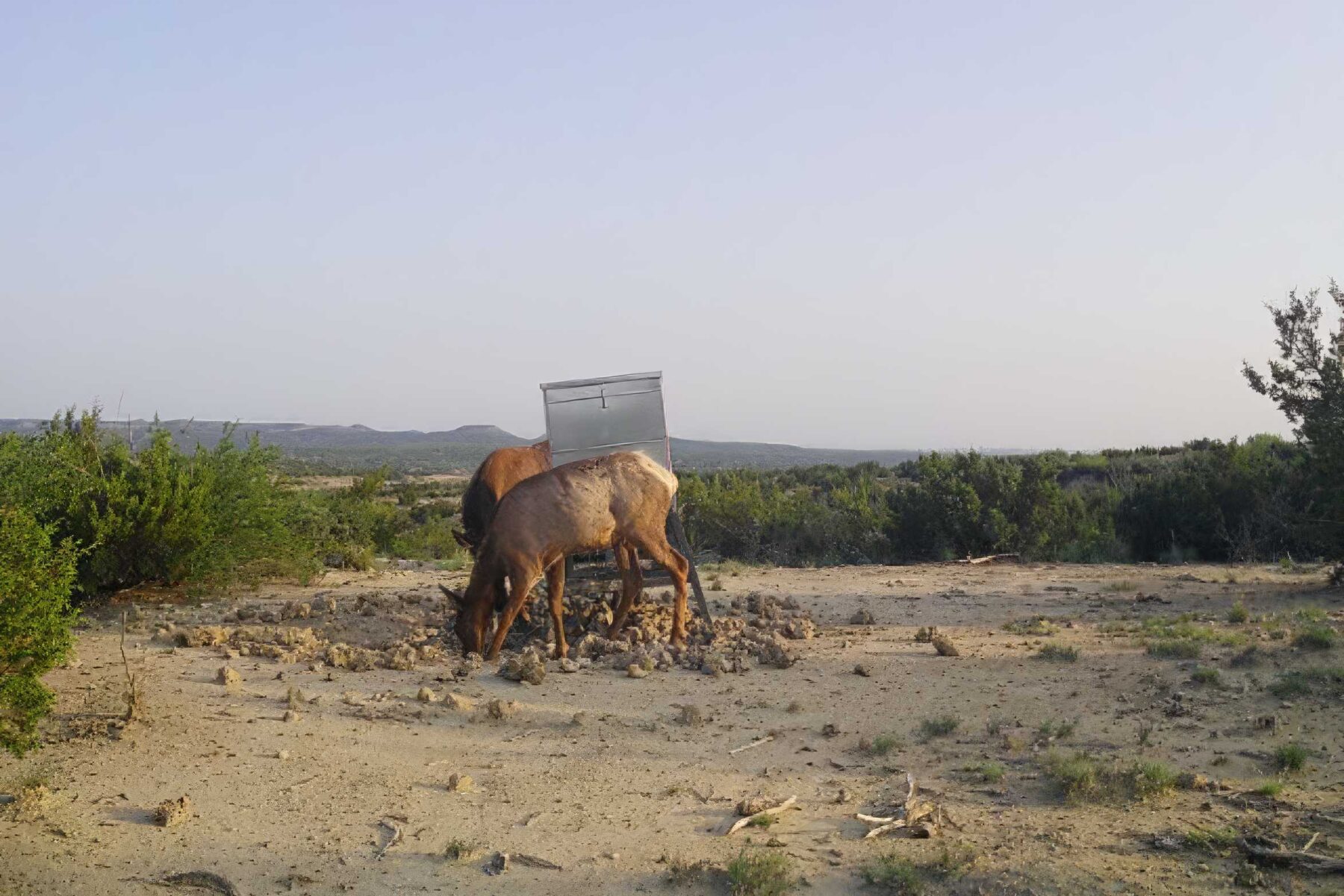 Property Photo 03 Property photograph 03