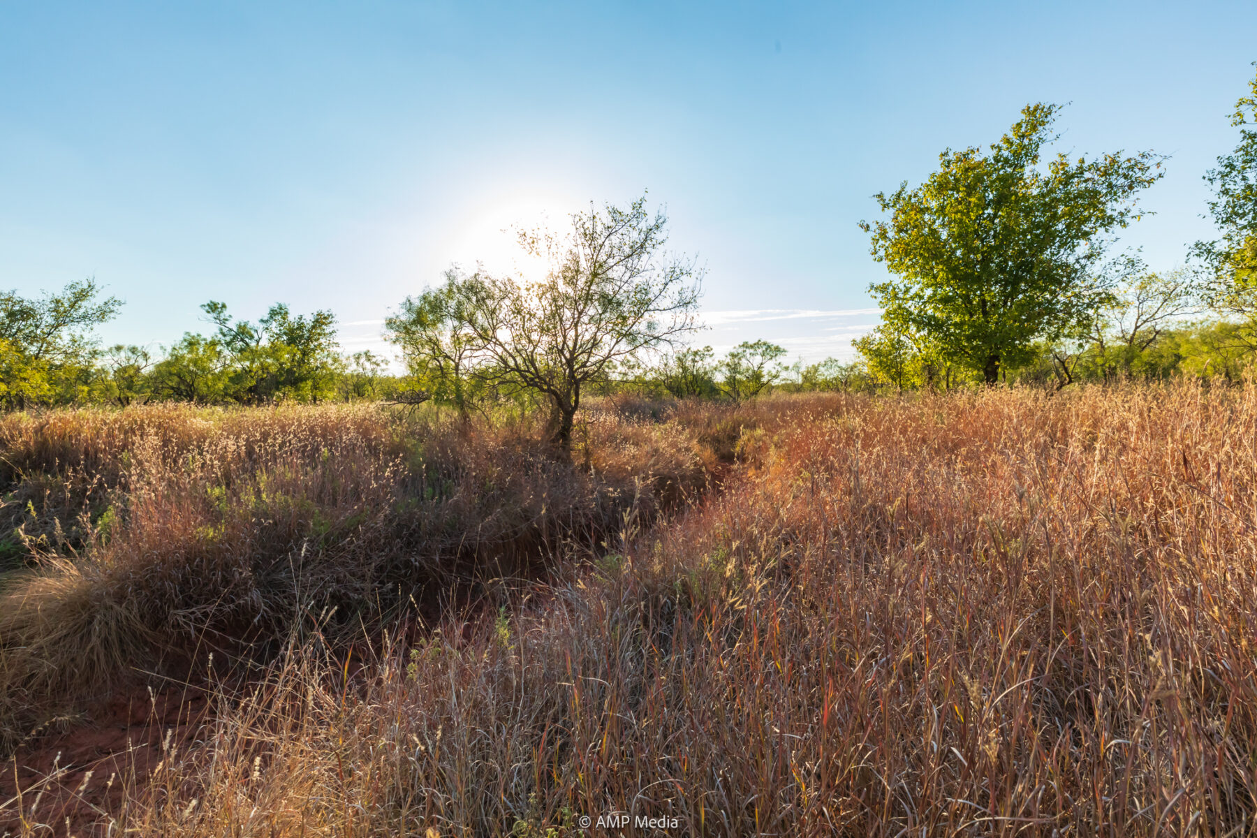 Property Photo 03 Property photograph 03