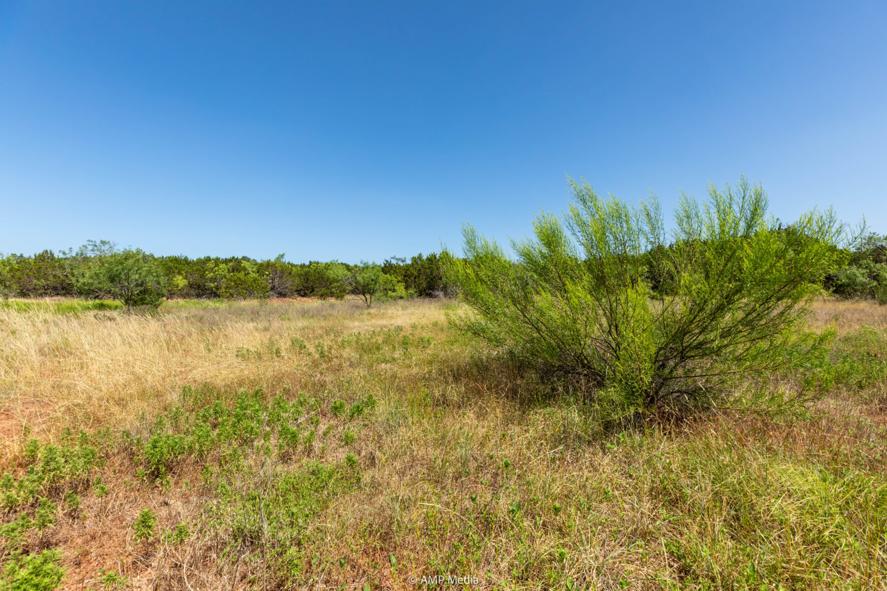 Property Photo 30 Property photograph 30