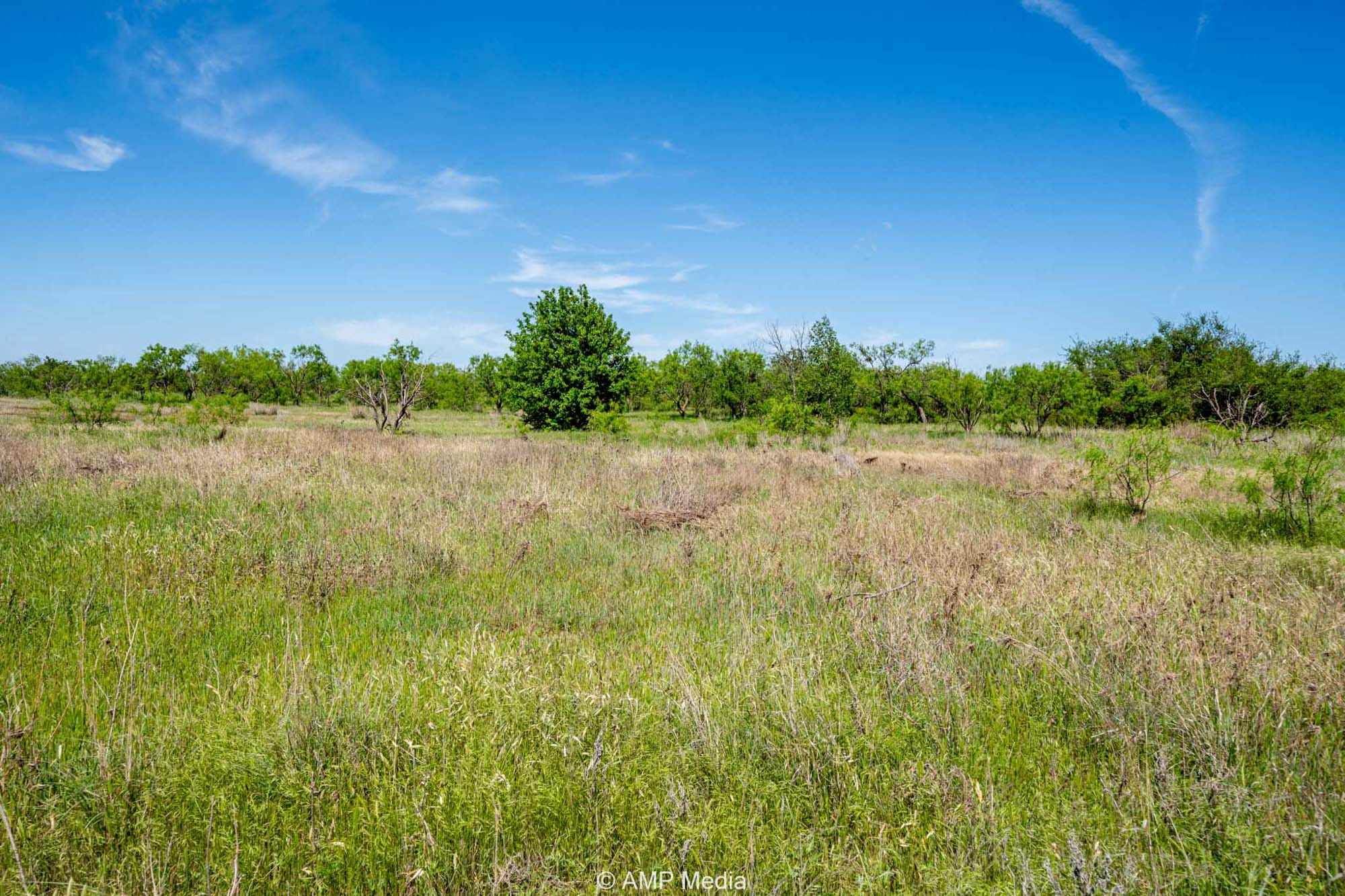 Property Photo 30 Property photograph 30