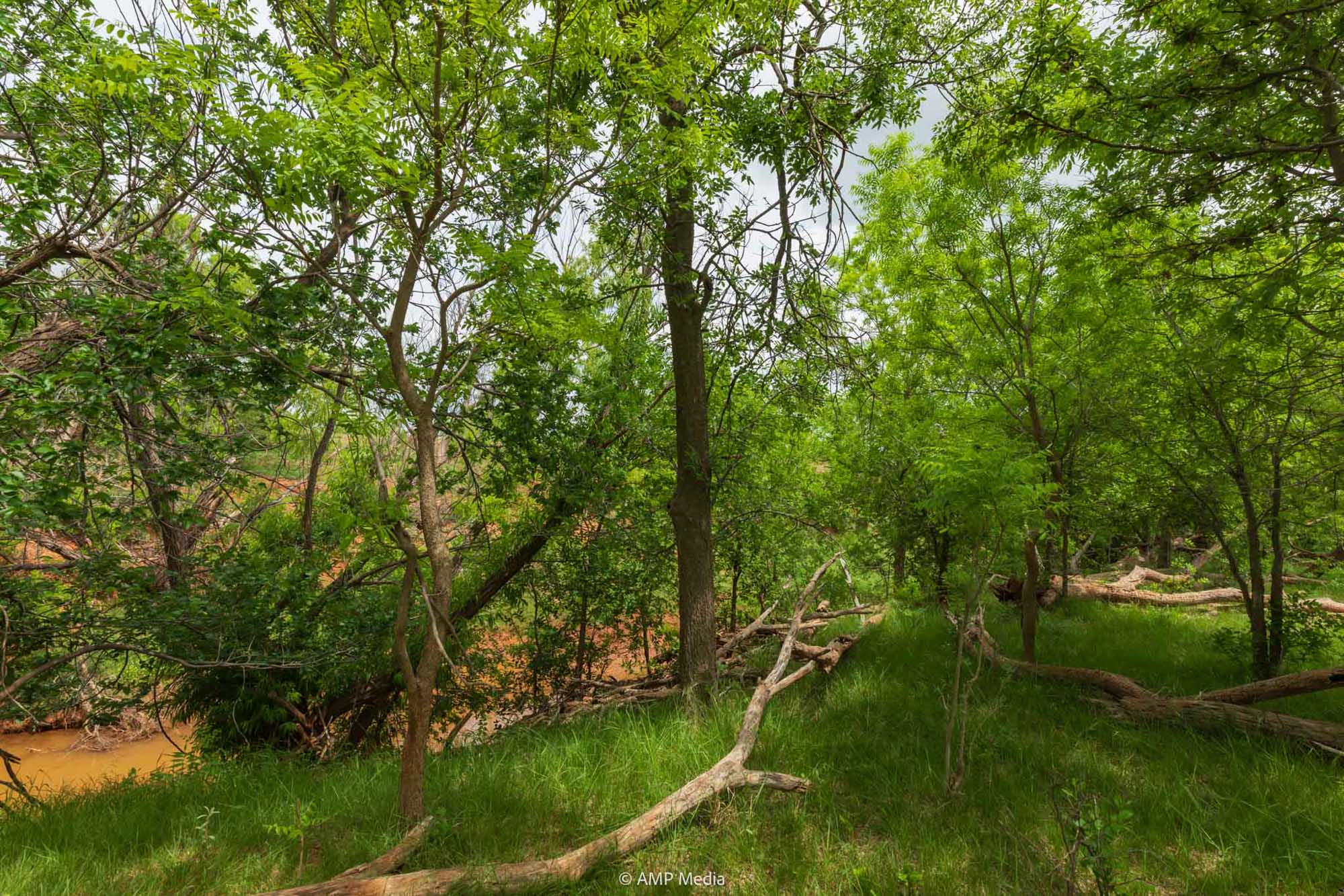 Property Photo 30 Property photograph 30