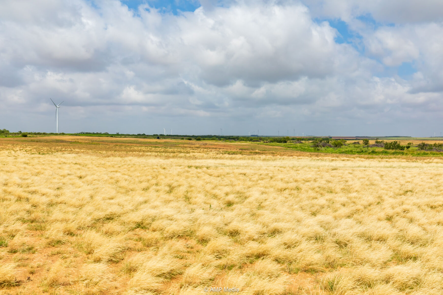 Property Photo 30 Property photograph 30