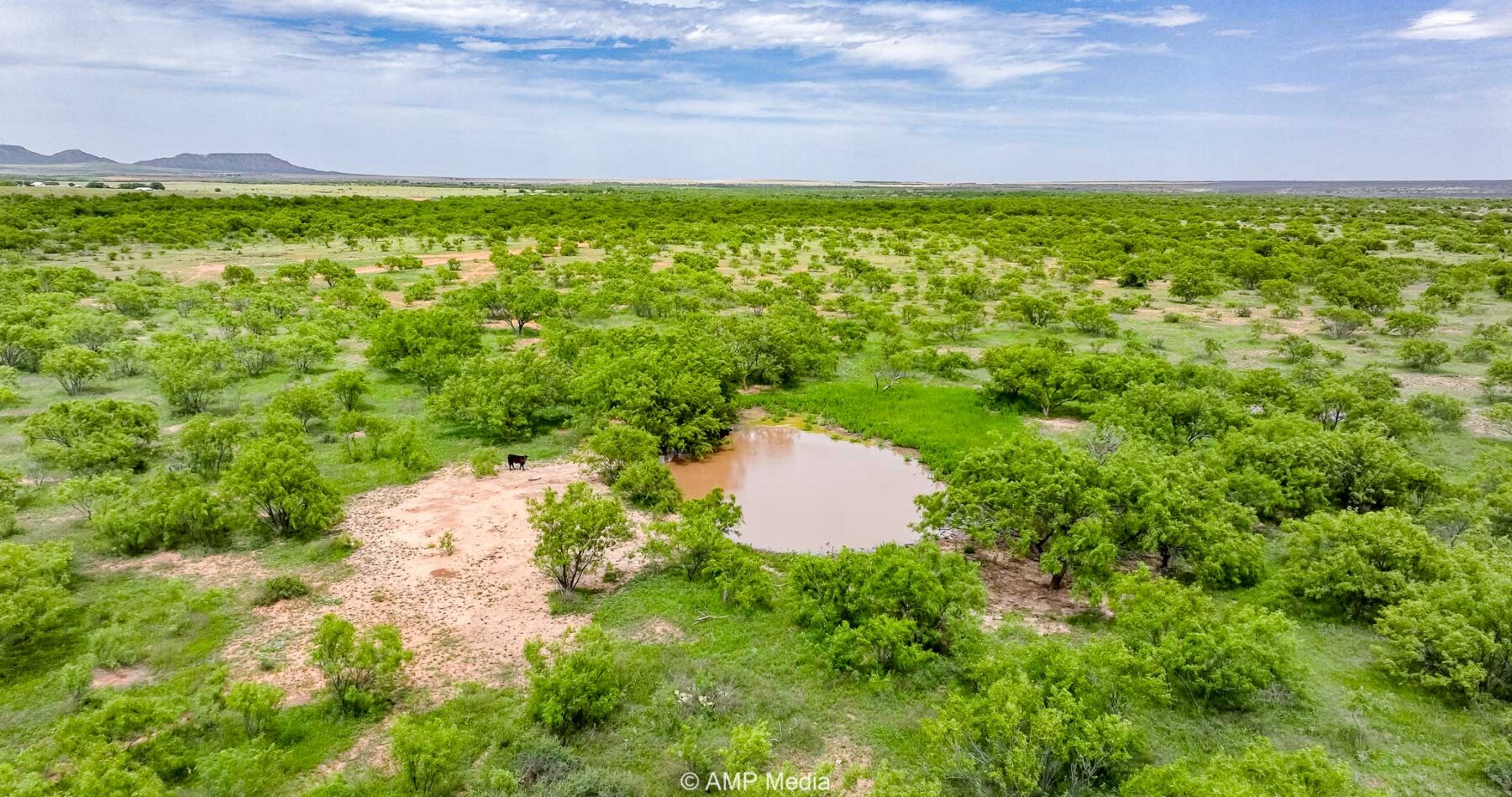 Property Photo 30 Property photograph 30