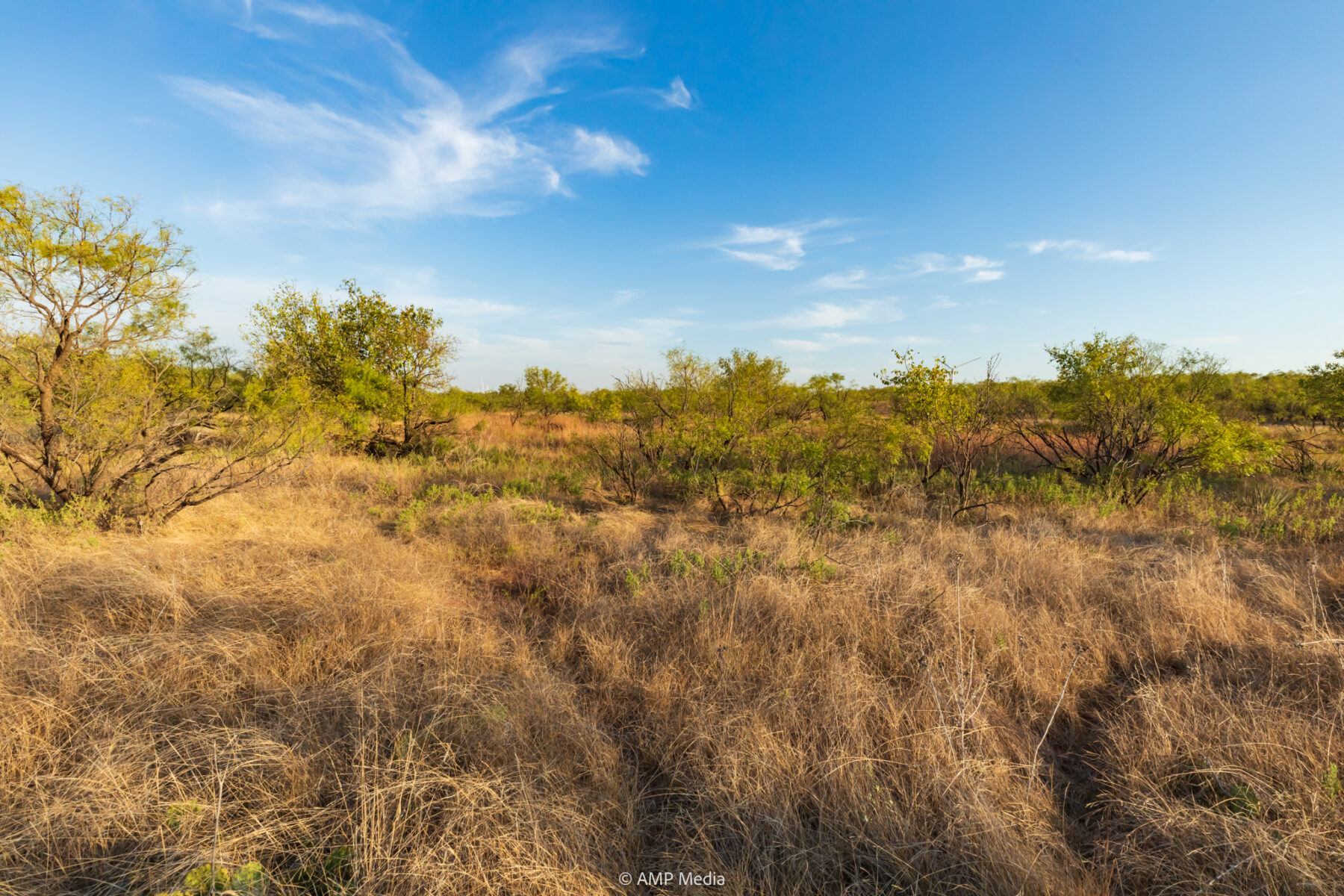 Property Photo 30 Property photograph 30