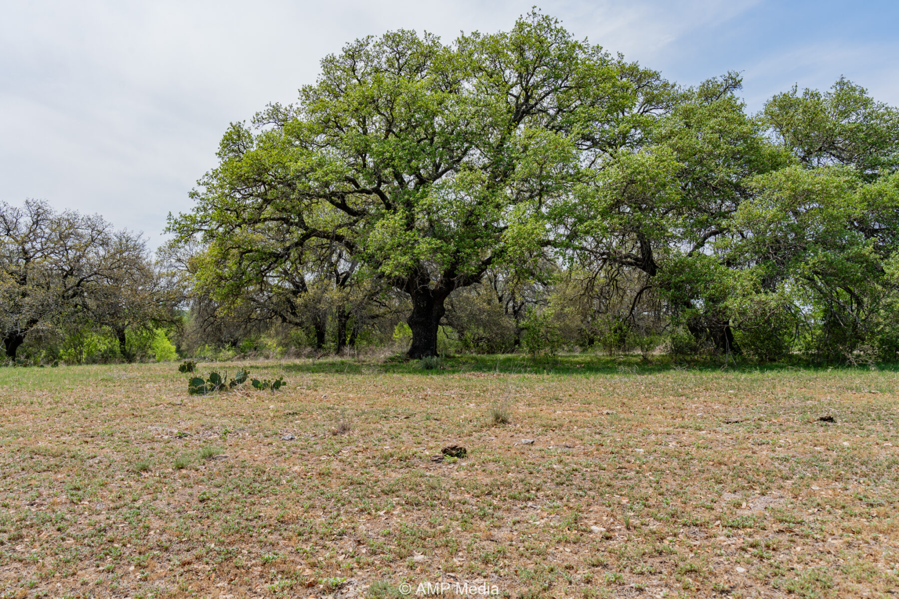 Property Photo 31 Property photograph 31