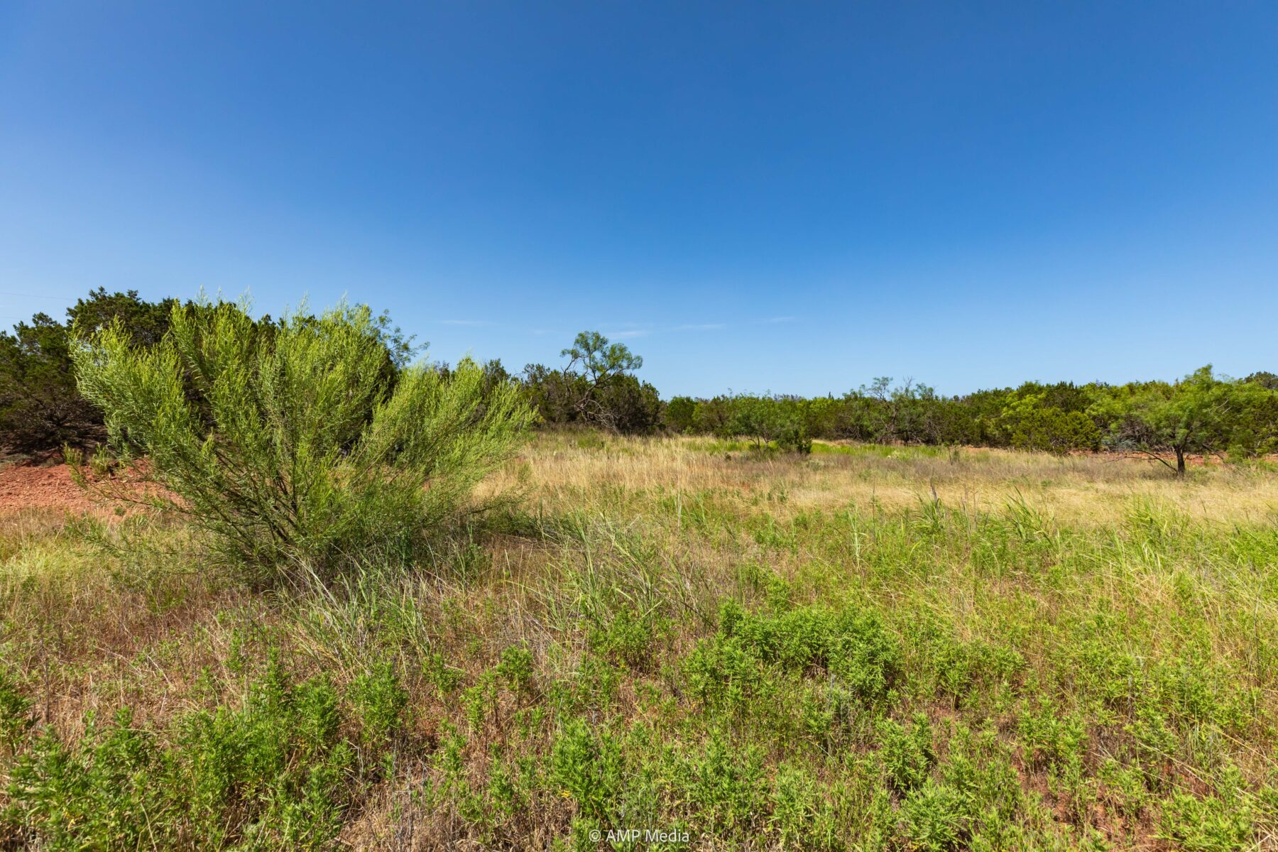 Property Photo 31 Property photograph 31