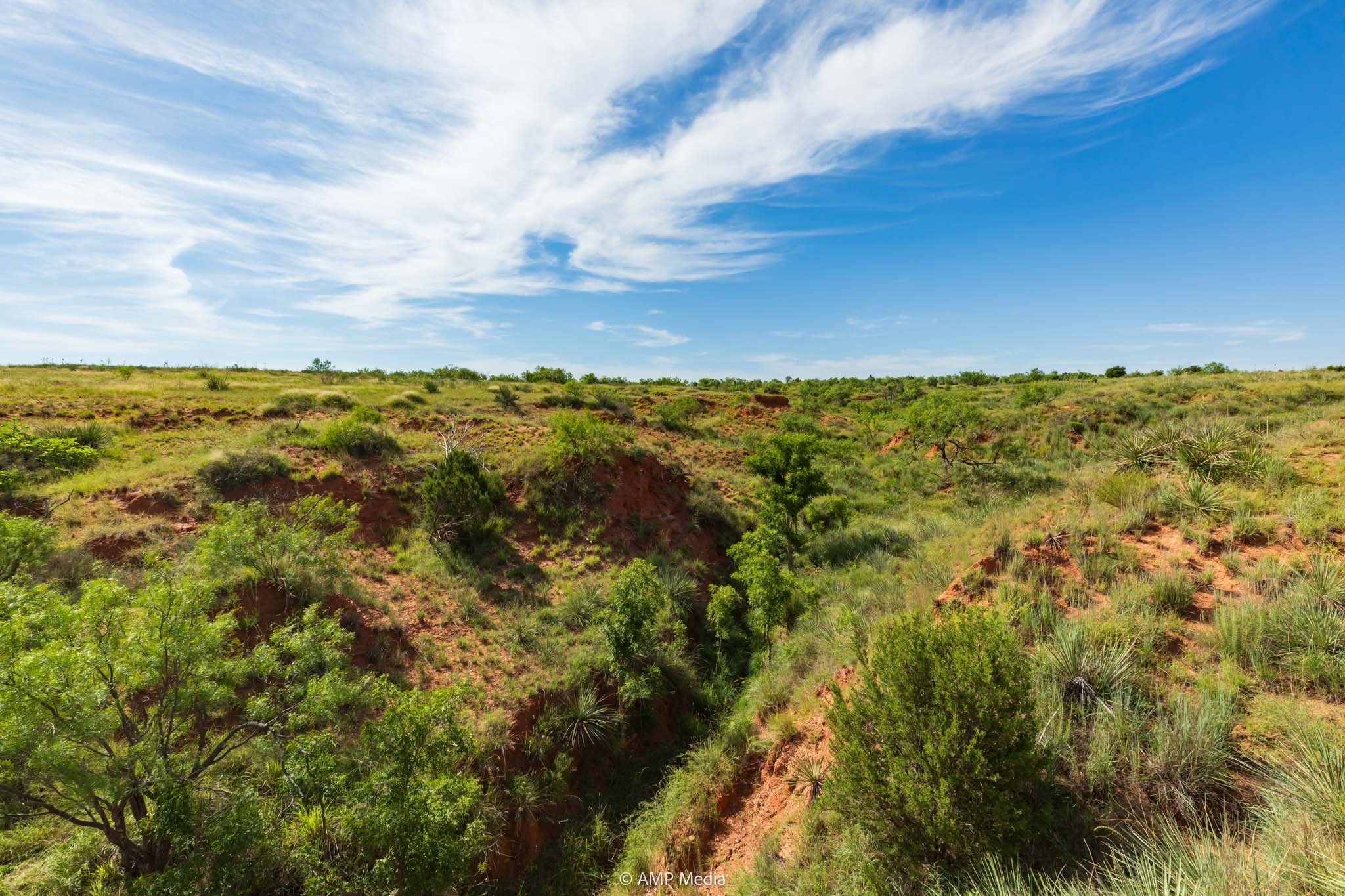 Property Photo 31 Property photograph 31