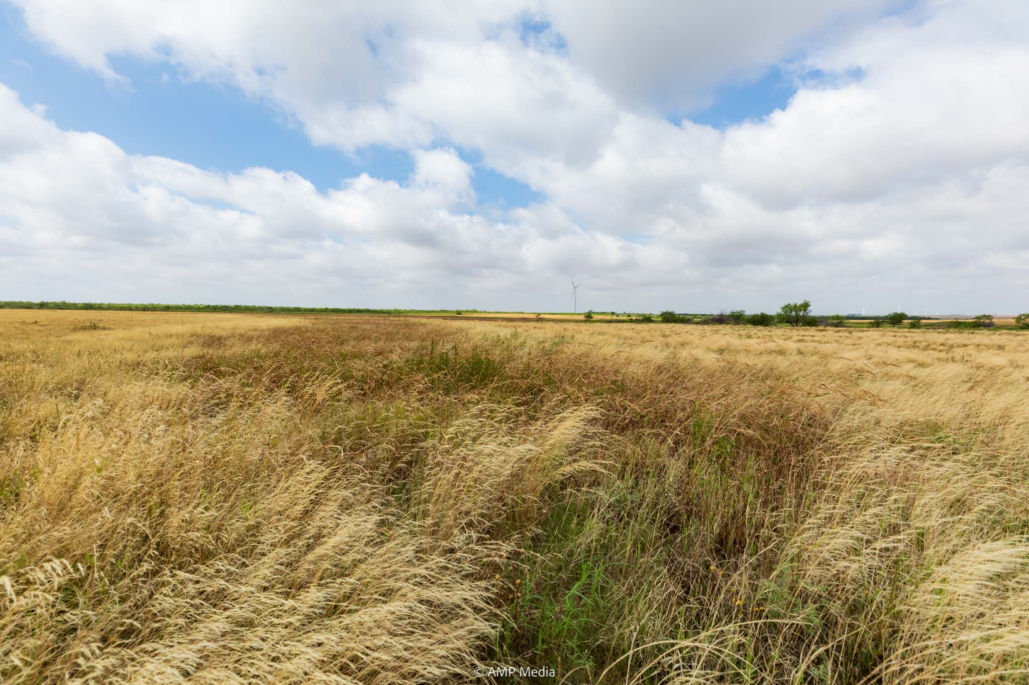 Property Photo 31 Property photograph 31