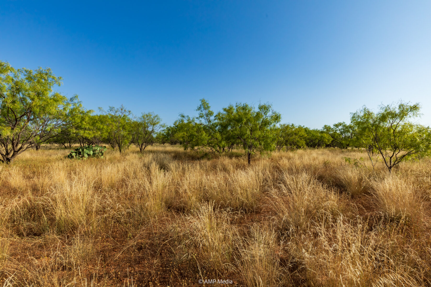 Property Photo 31 Property photograph 31