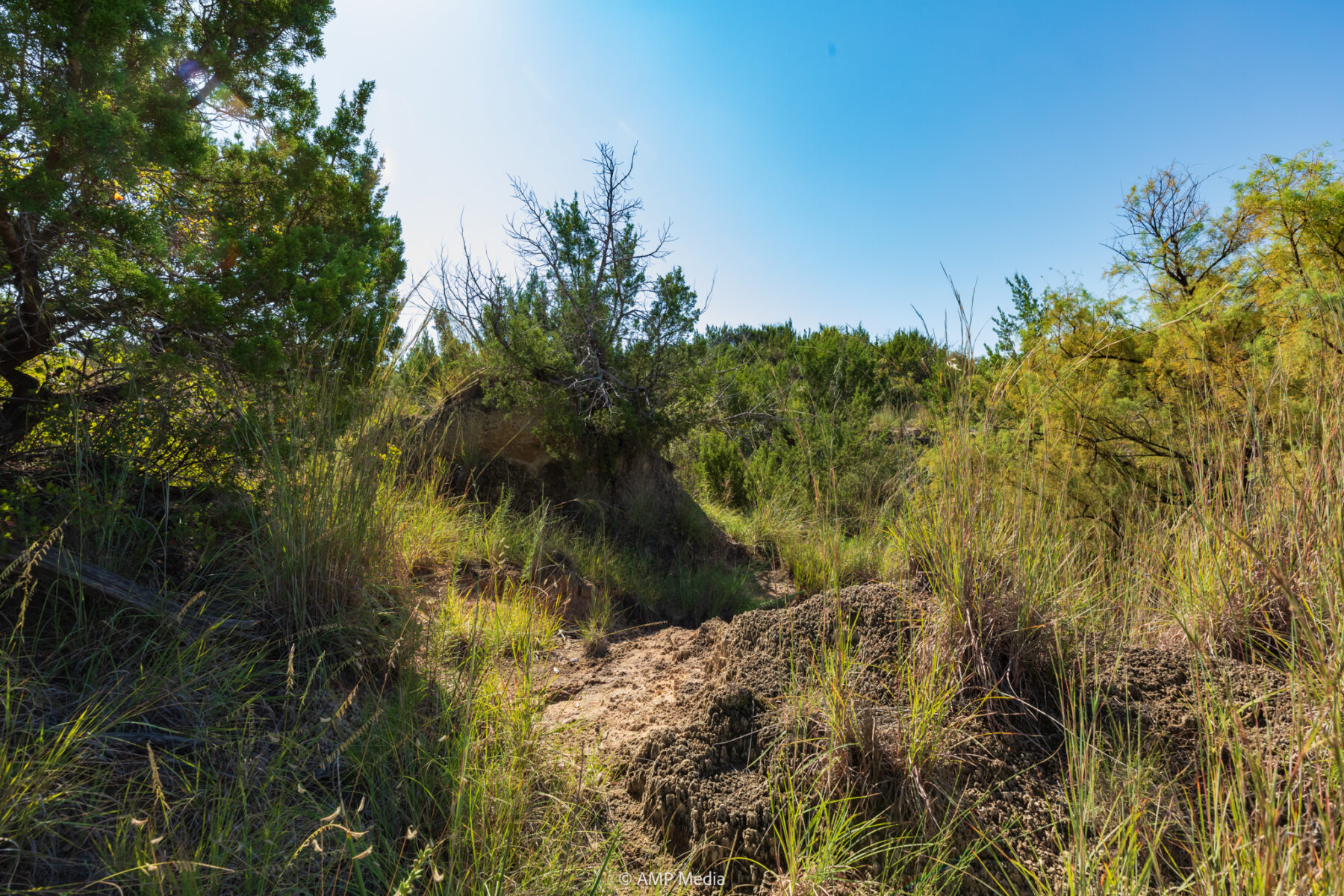 Property Photo 31 Property photograph 31