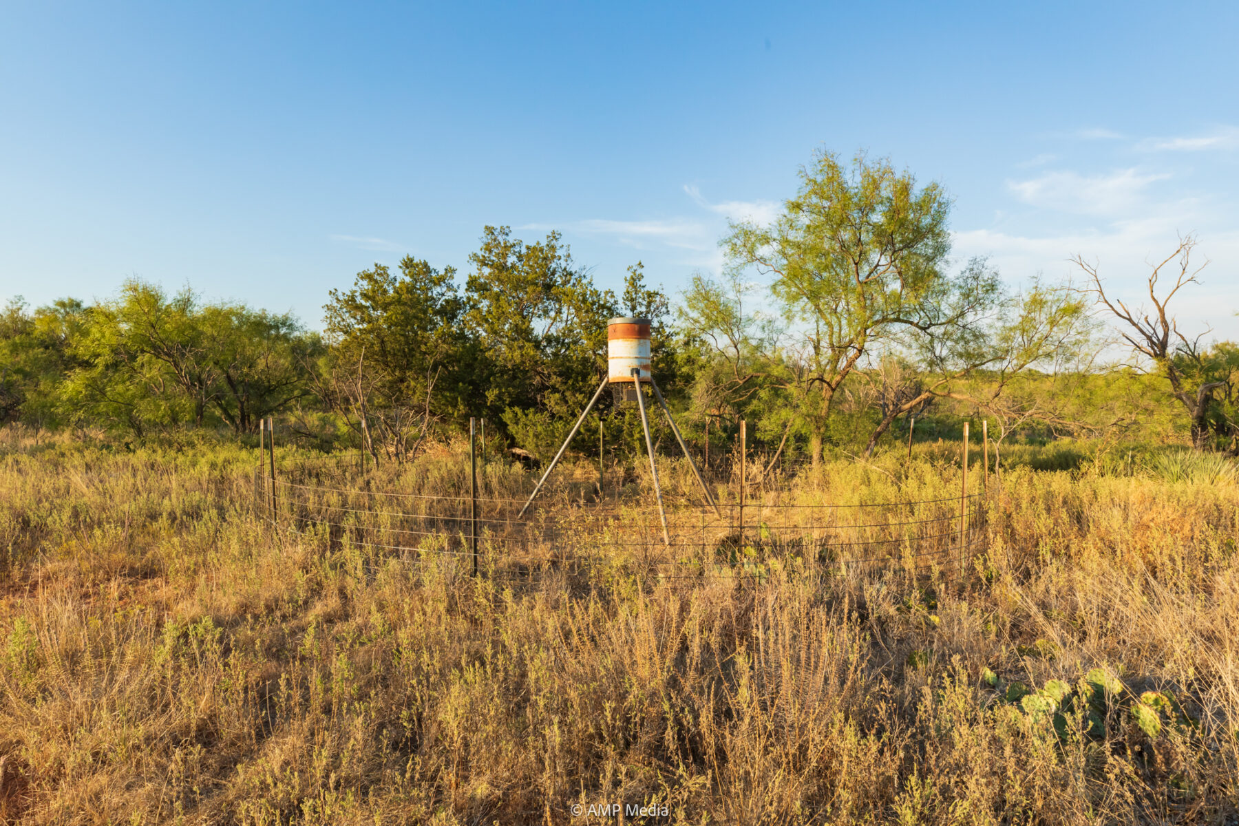 Property Photo 31 Property photograph 31