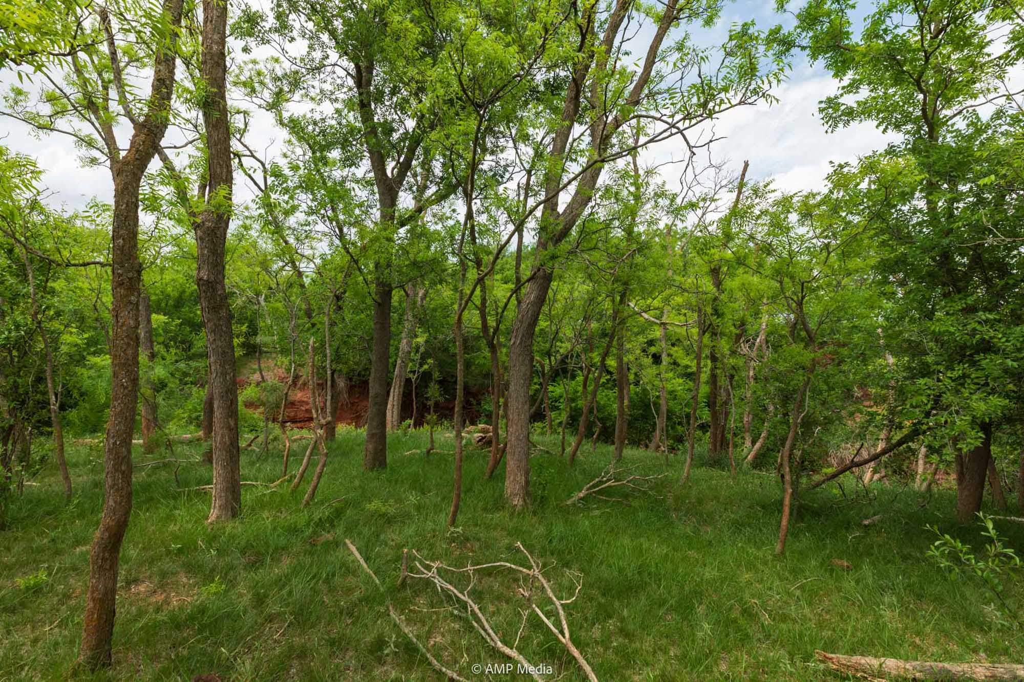 Property Photo 32 Property photograph 32