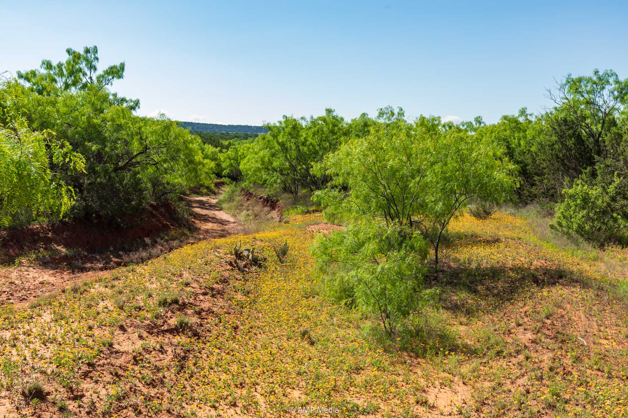 Property Photo 32 Property photograph 32