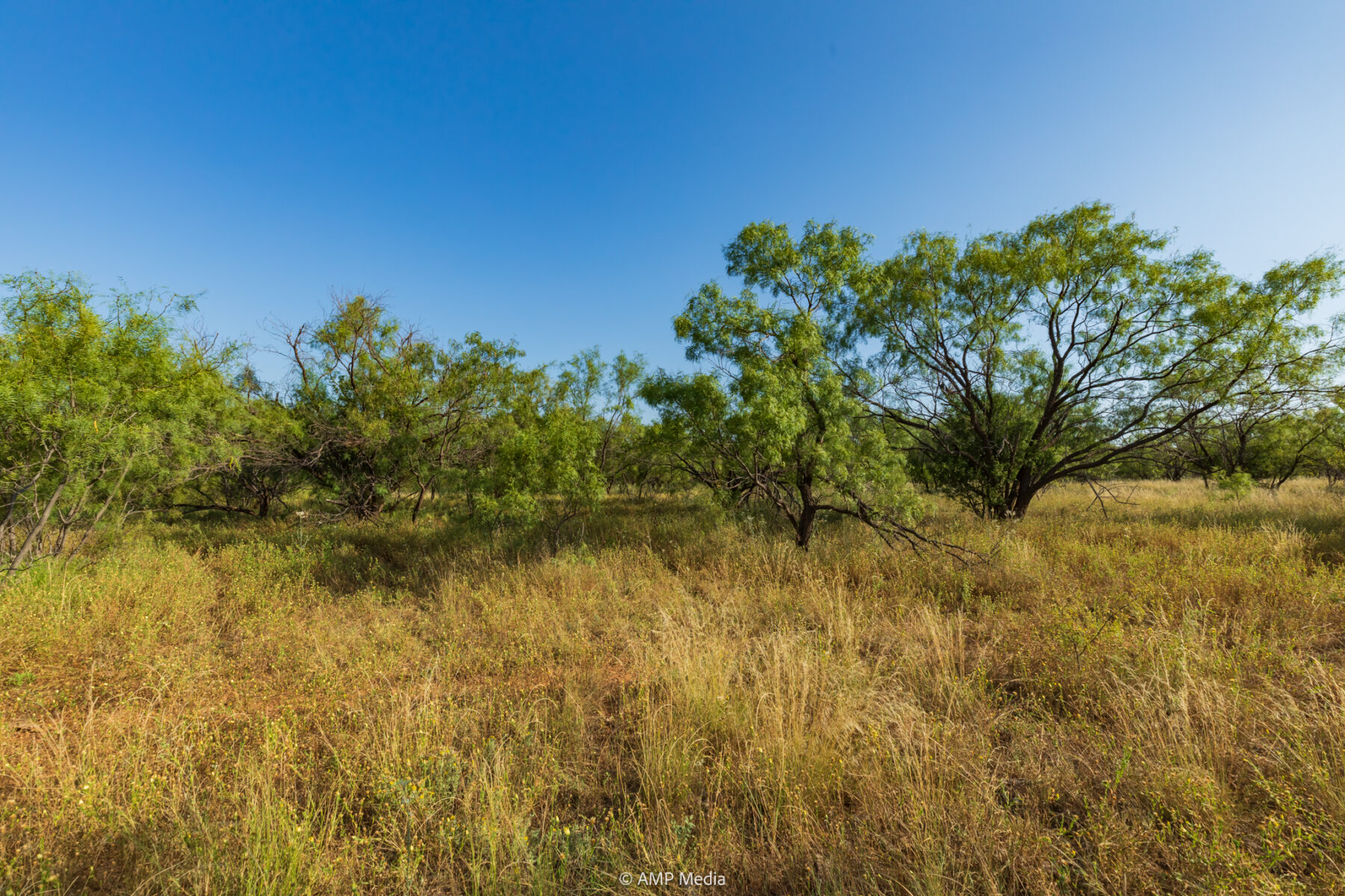Property Photo 32 Property photograph 32