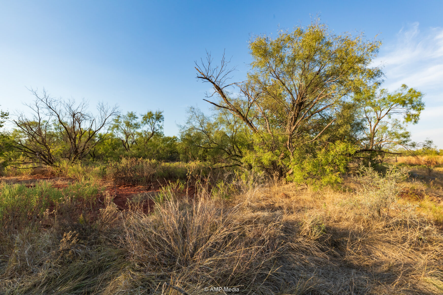 Property Photo 32 Property photograph 32