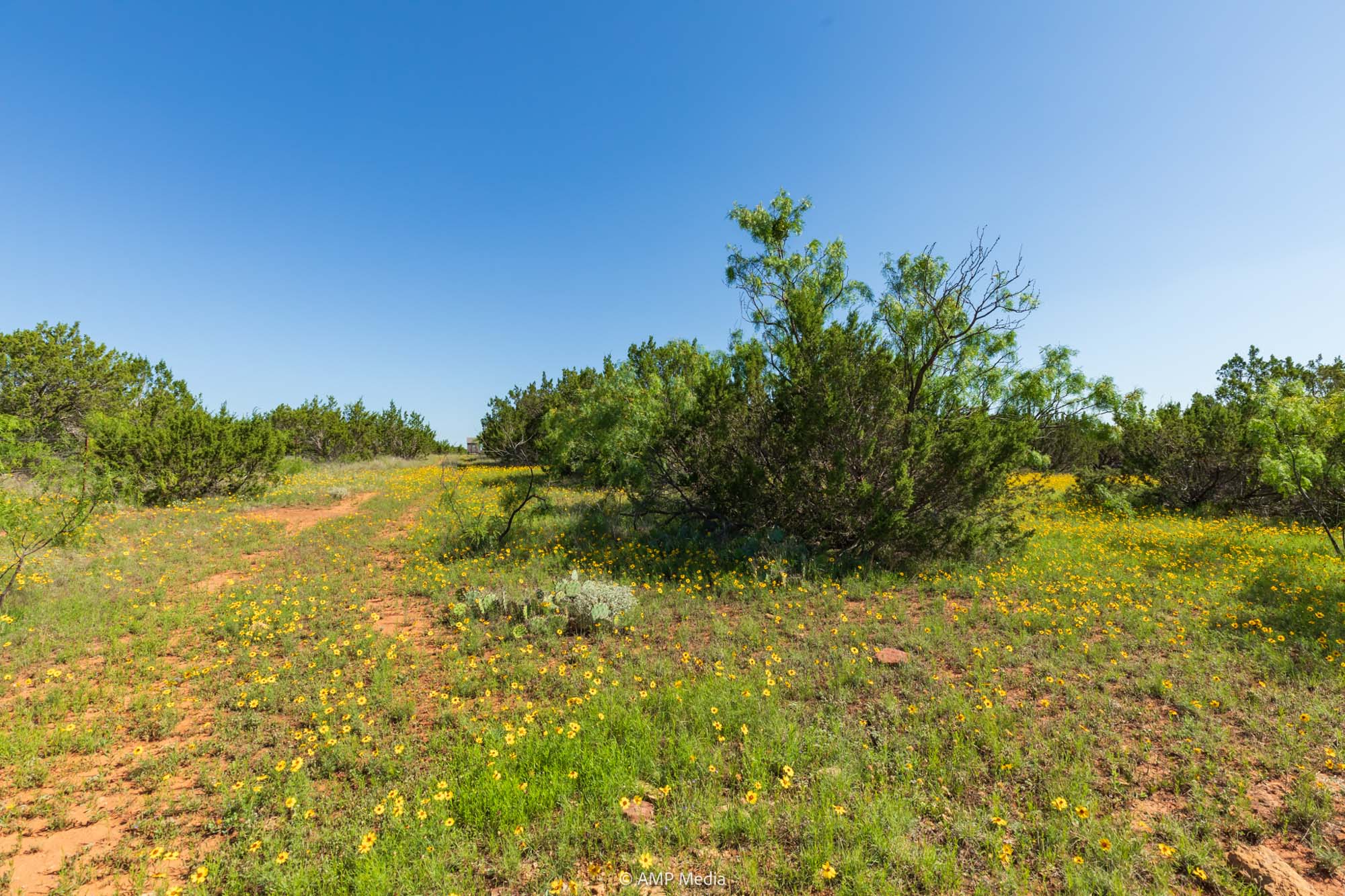 Property Photo 33 Property photograph 33