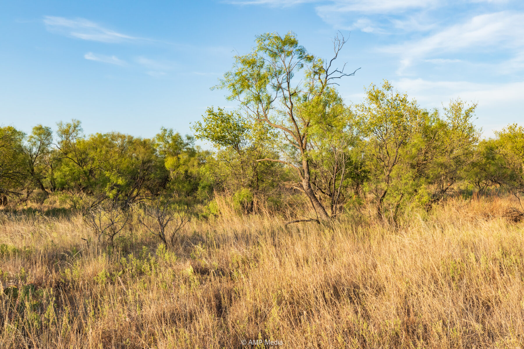 Property Photo 33 Property photograph 33
