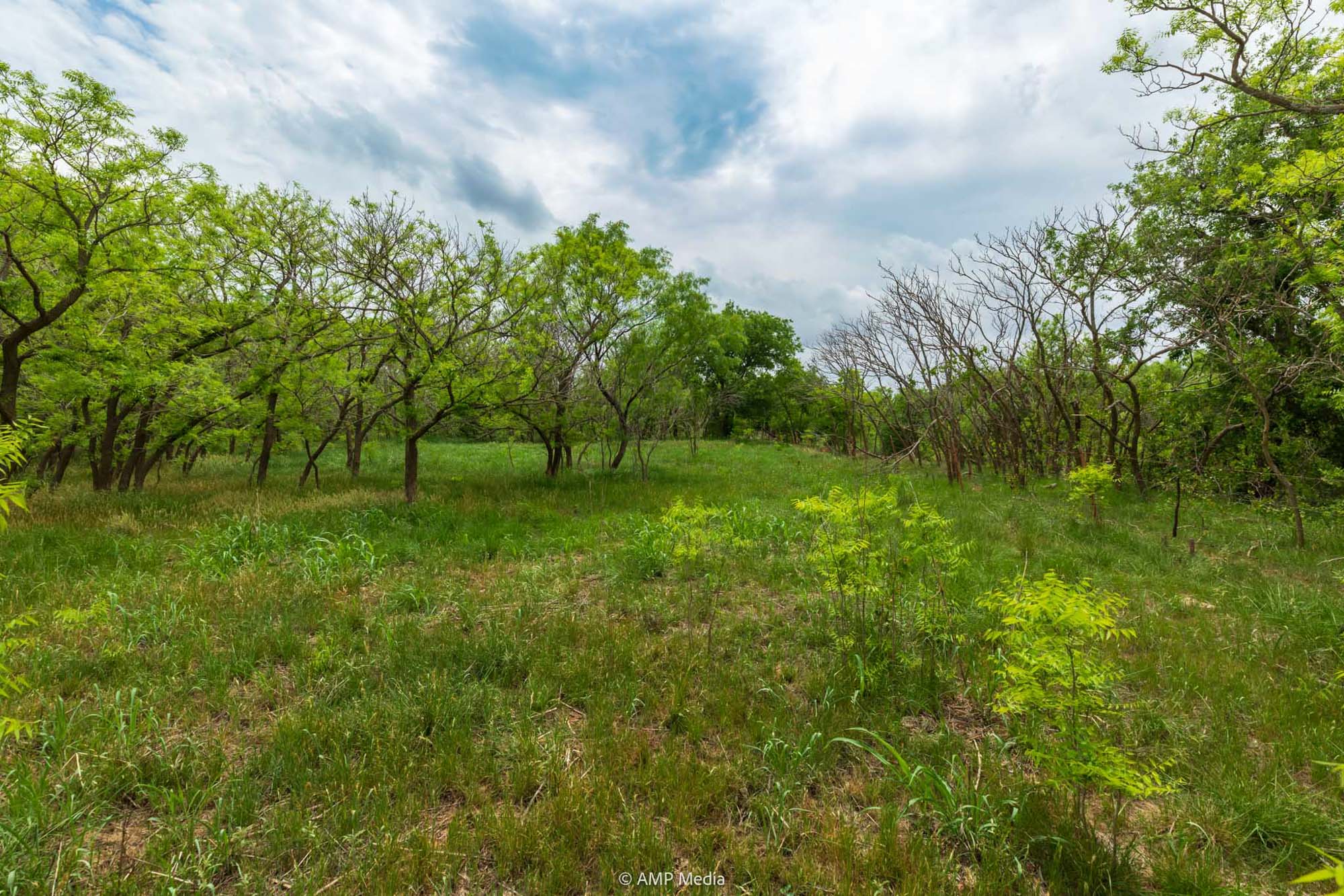 Property Photo 34 Property photograph 34