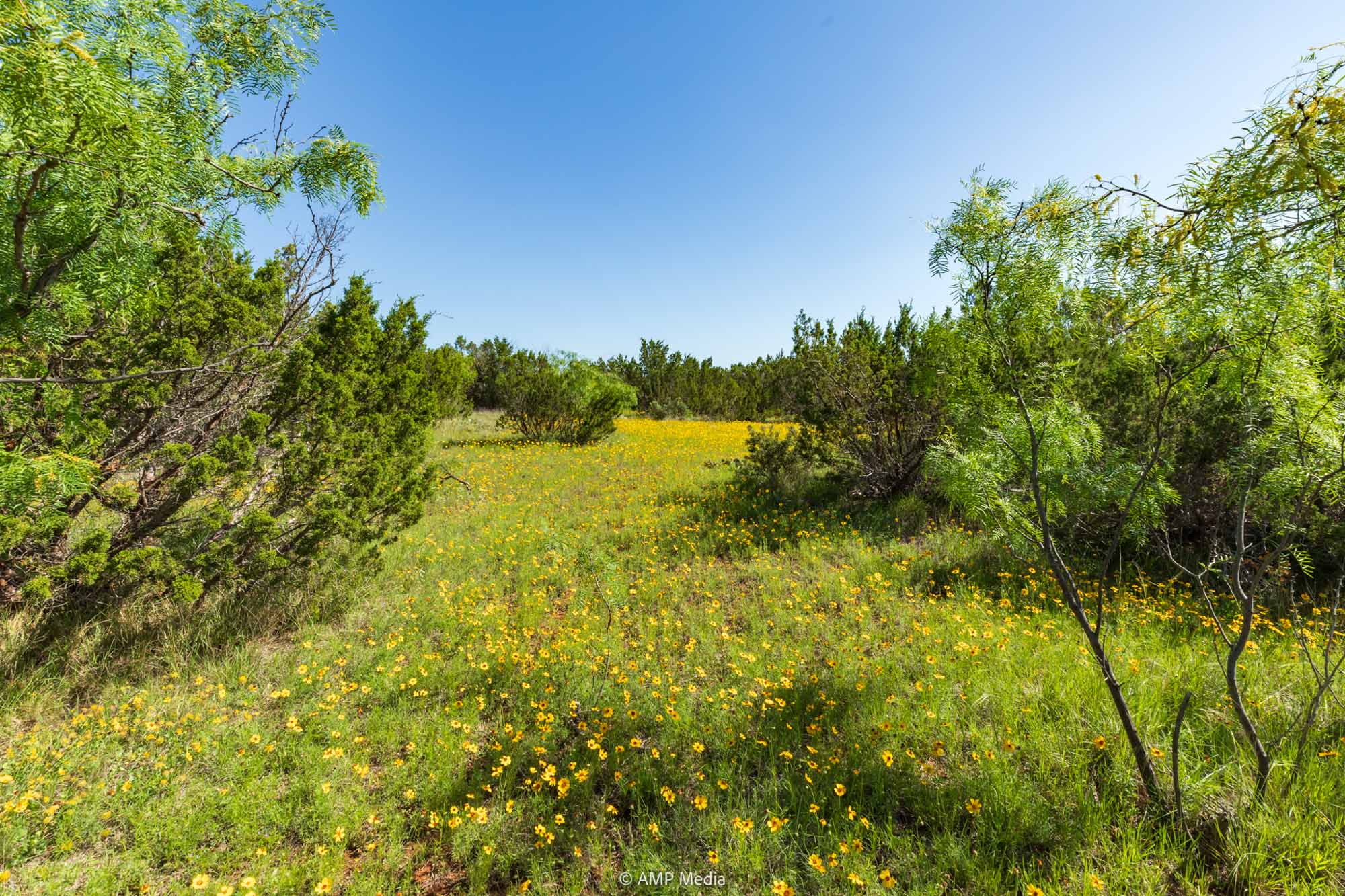 Property Photo 34 Property photograph 34