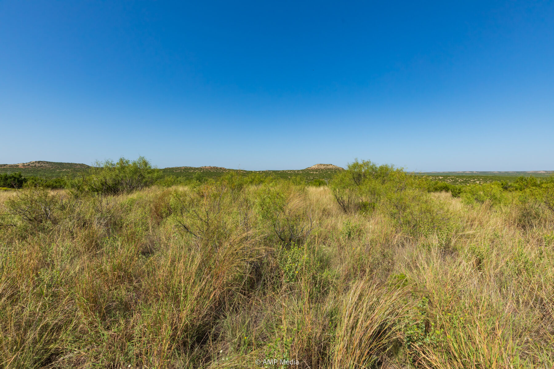 Property Photo 34 Property photograph 34