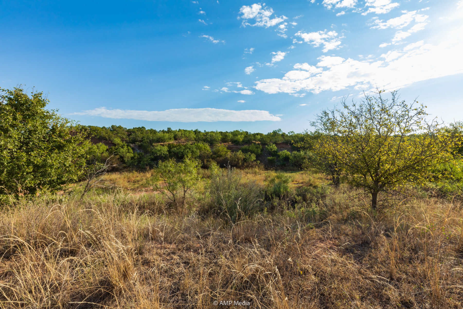 Property Photo 34 Property photograph 34