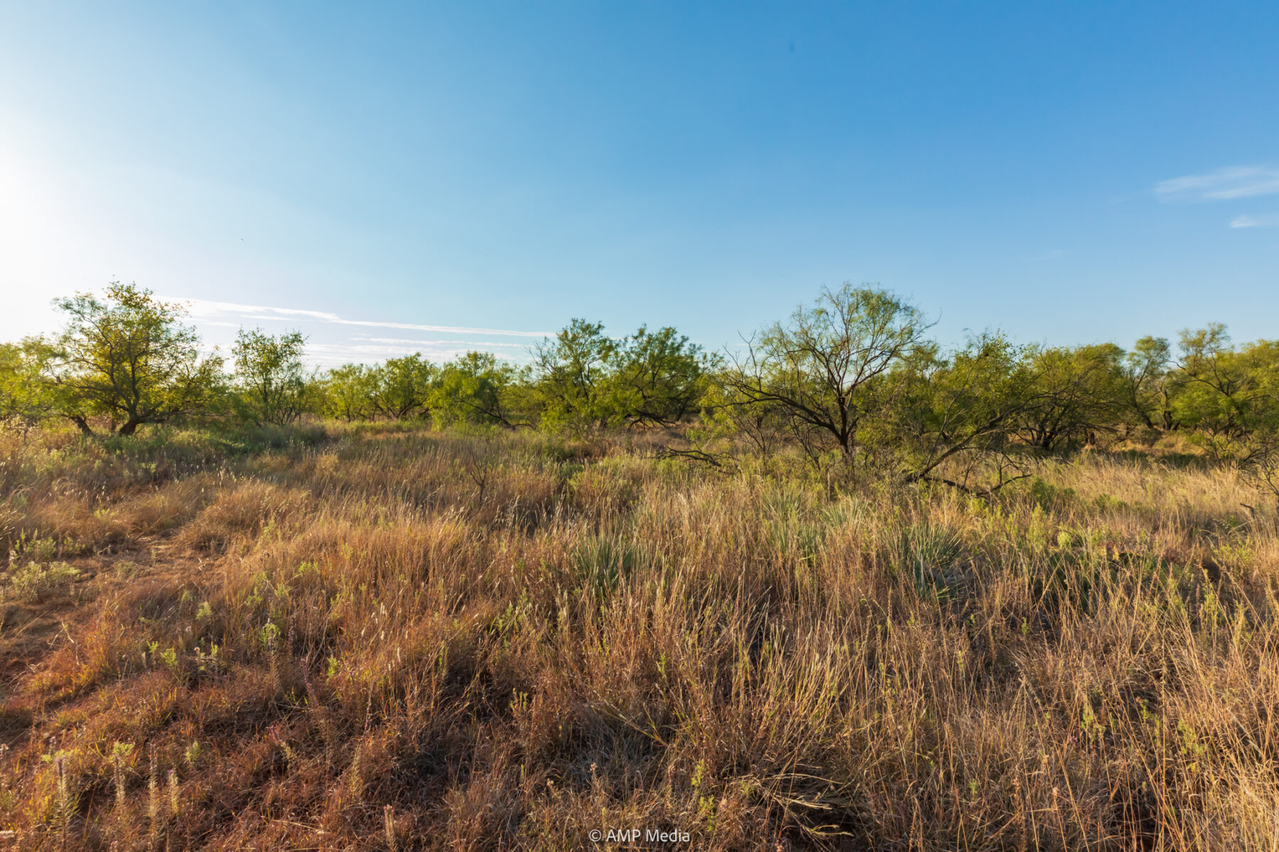 Property Photo 34 Property photograph 34