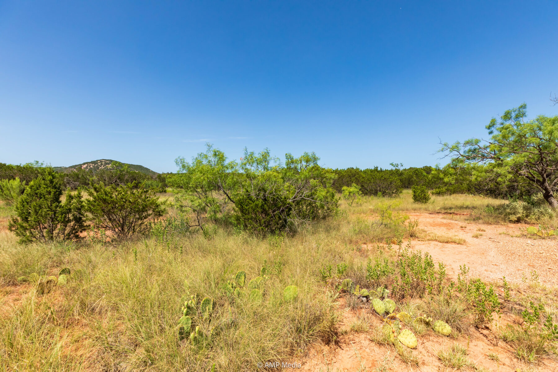 Property Photo 35 Property photograph 35