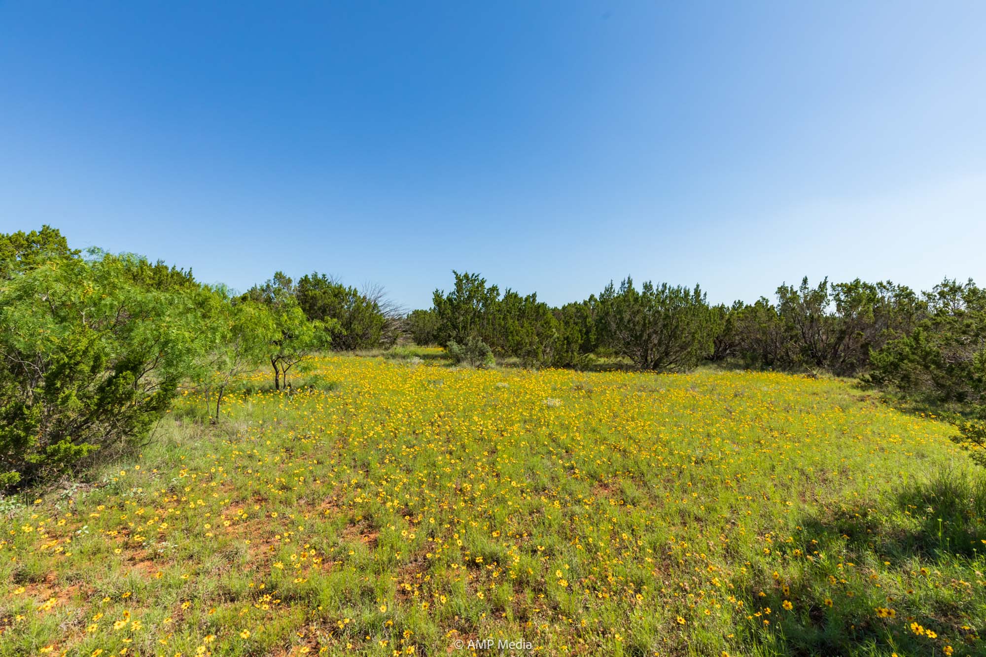 Property Photo 35 Property photograph 35