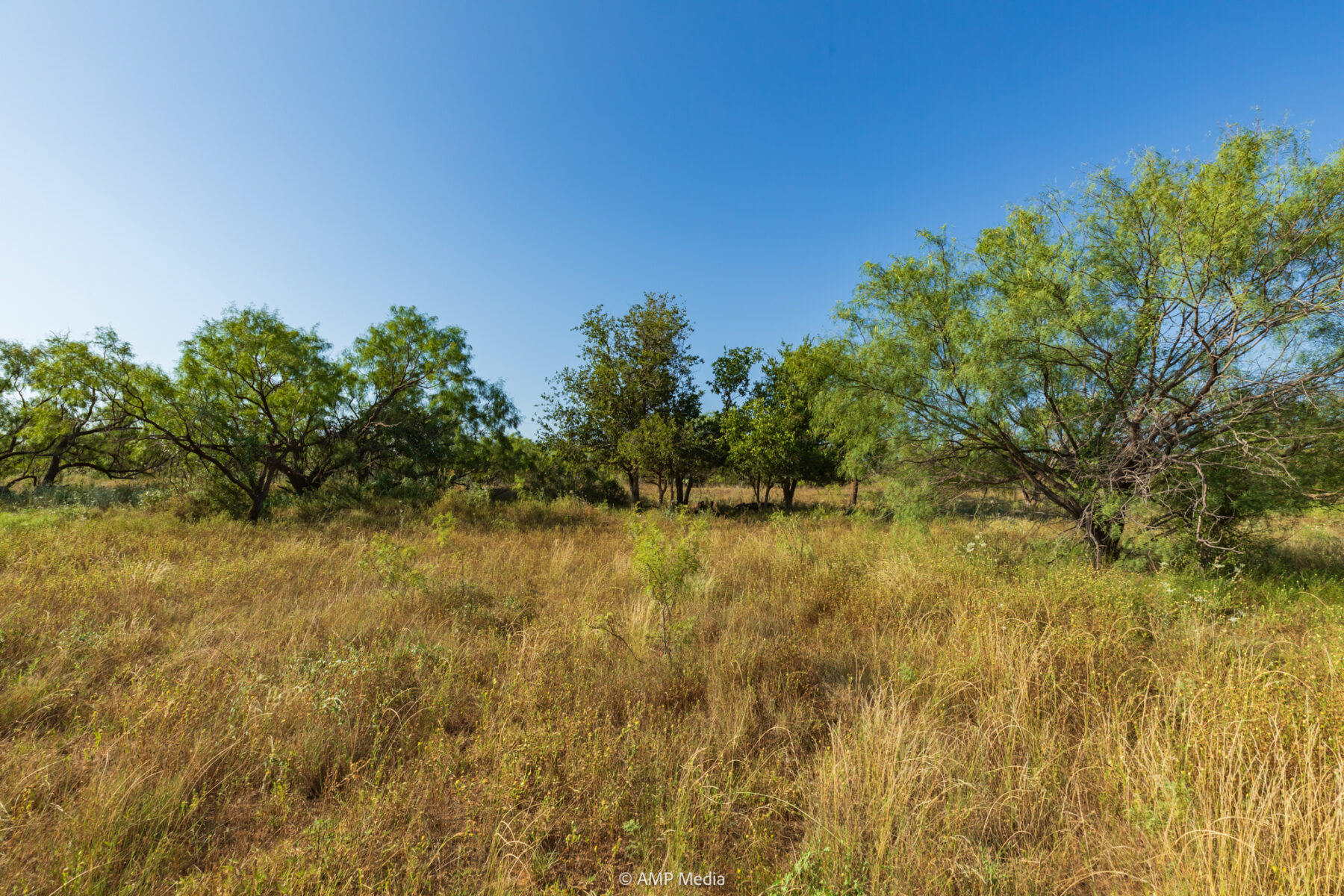 Property Photo 35 Property photograph 35