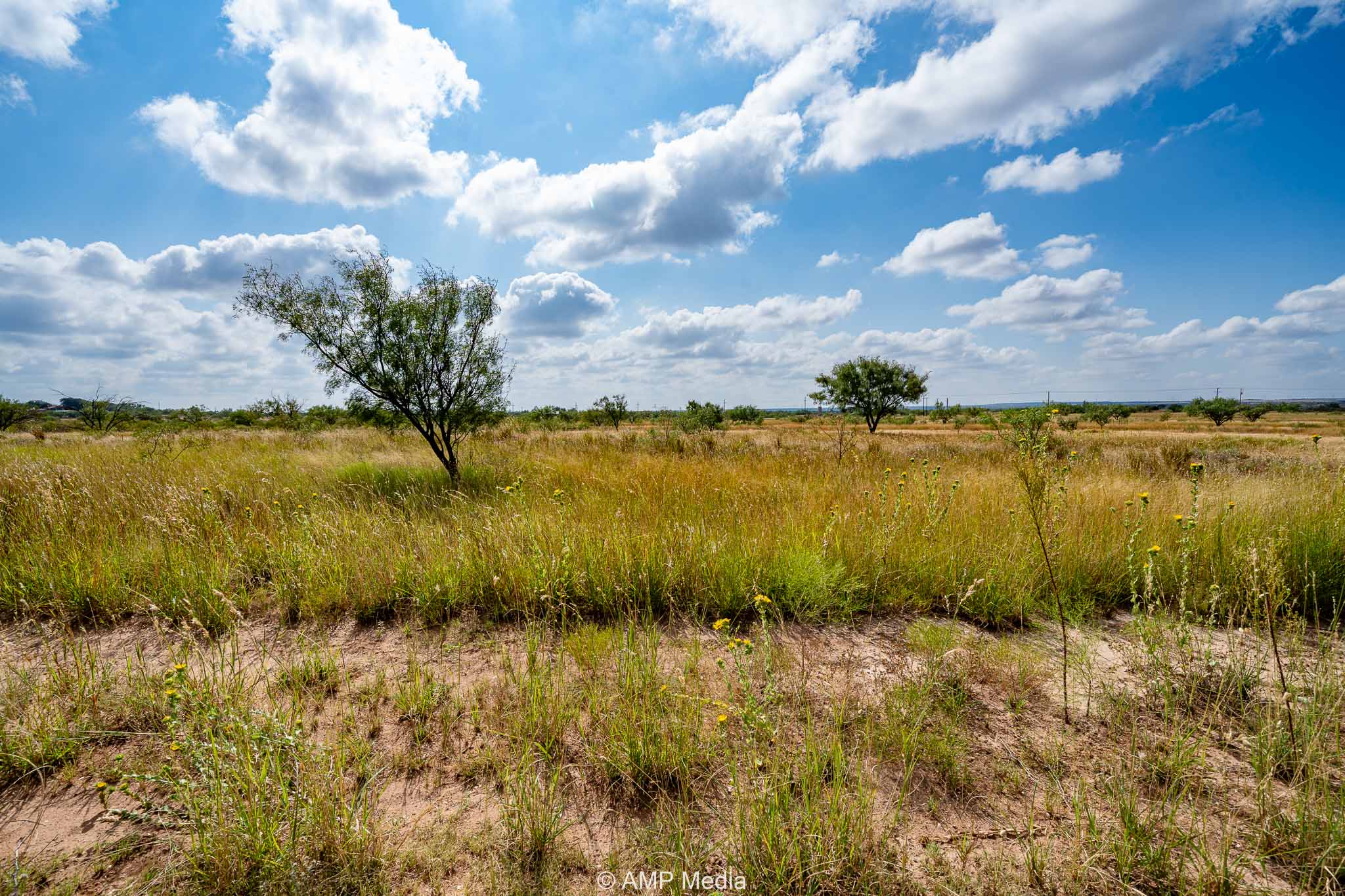 Property Photo 35 Property photograph 35