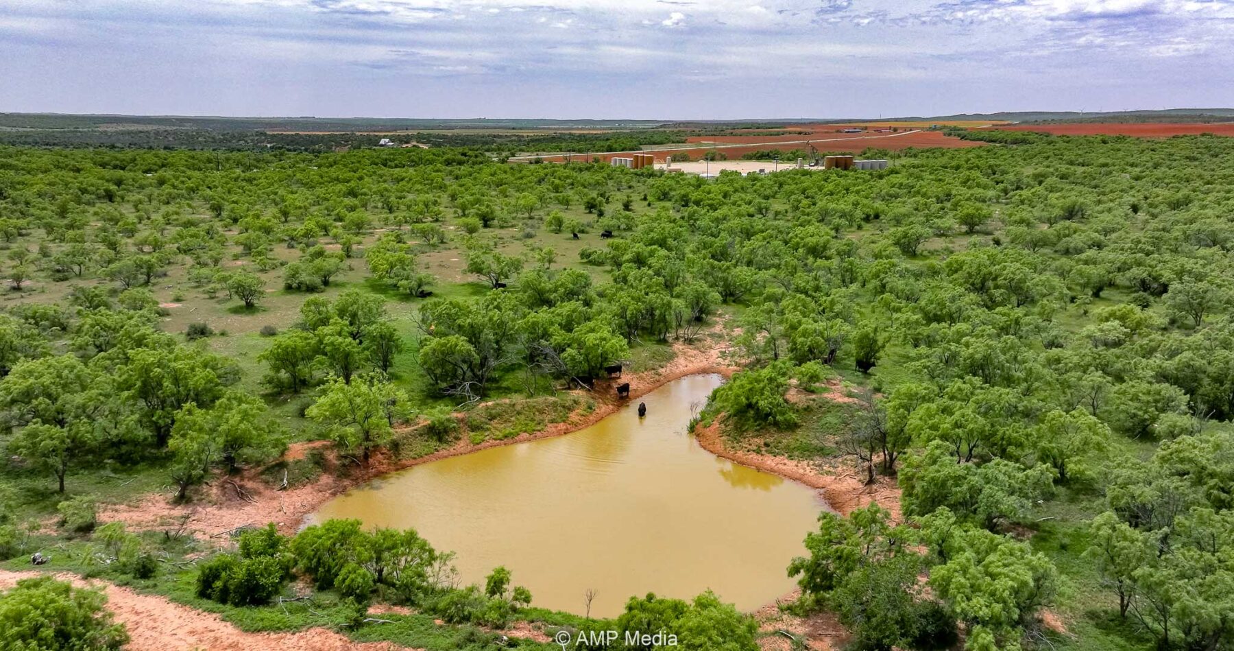 Property Photo 35 Property photograph 35