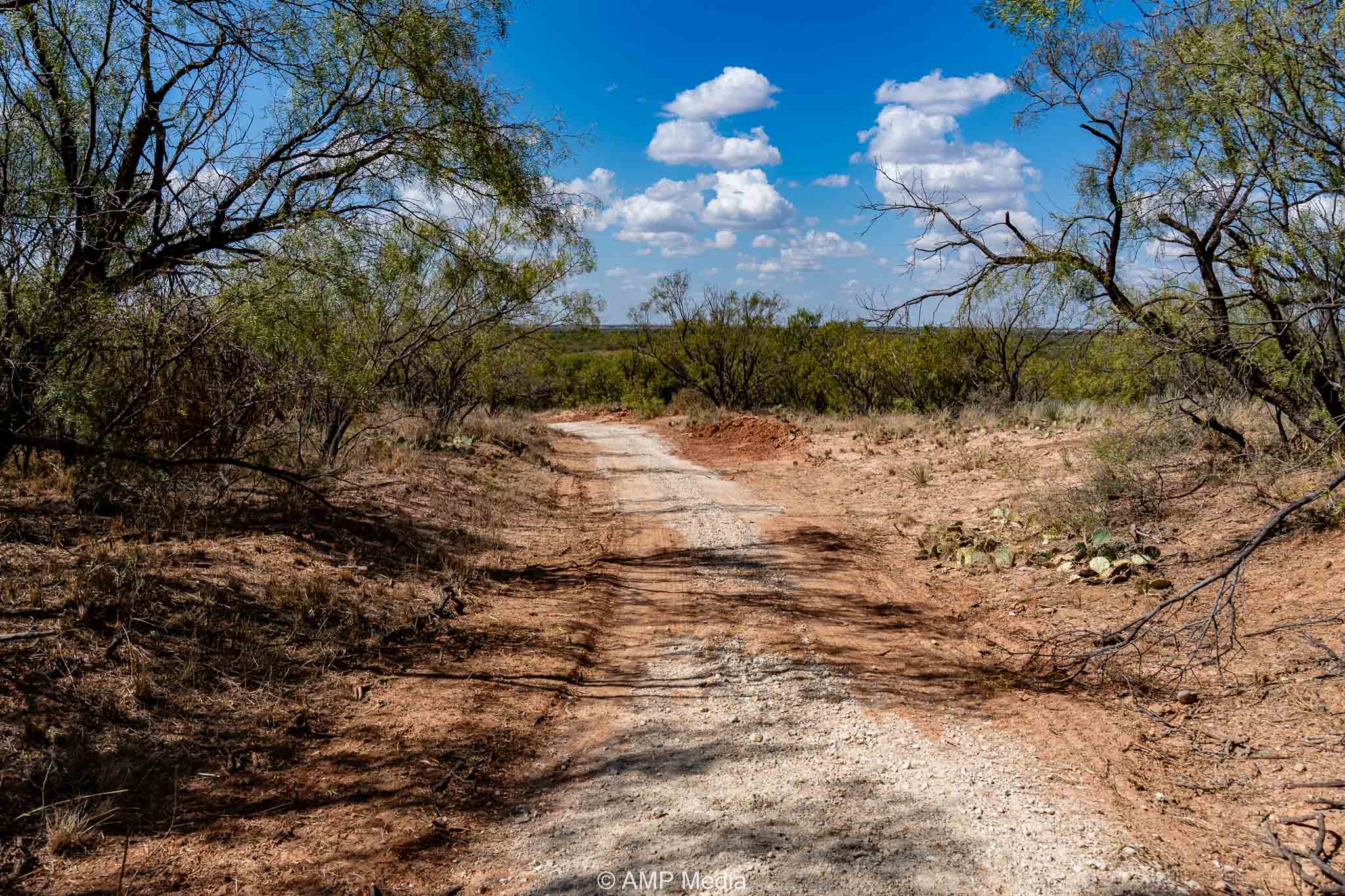 Property Photo 35 Property photograph 35