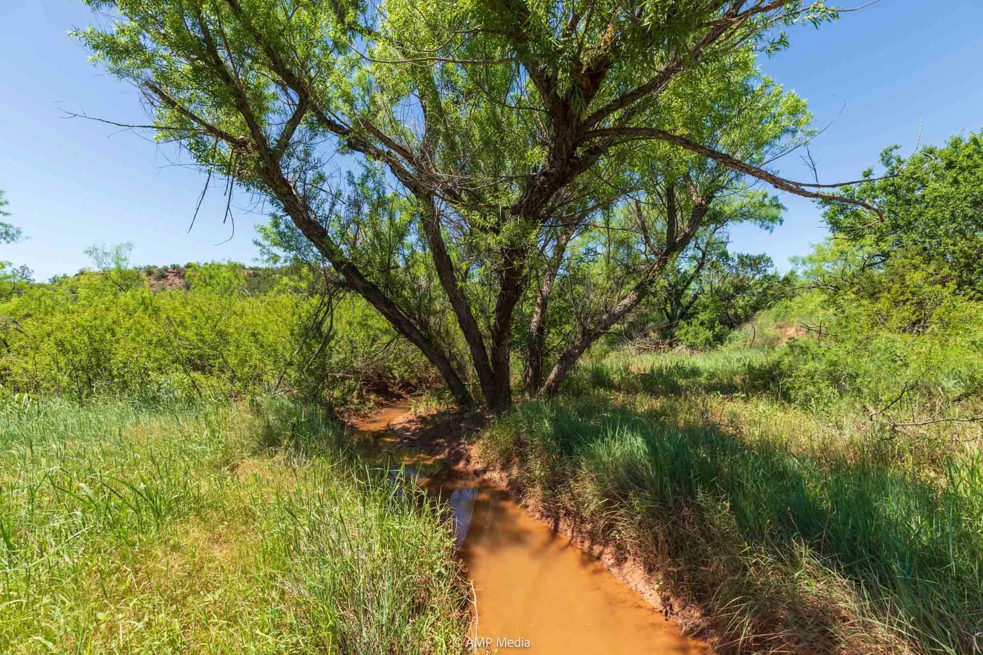 Property Photo 36 Property photograph 36